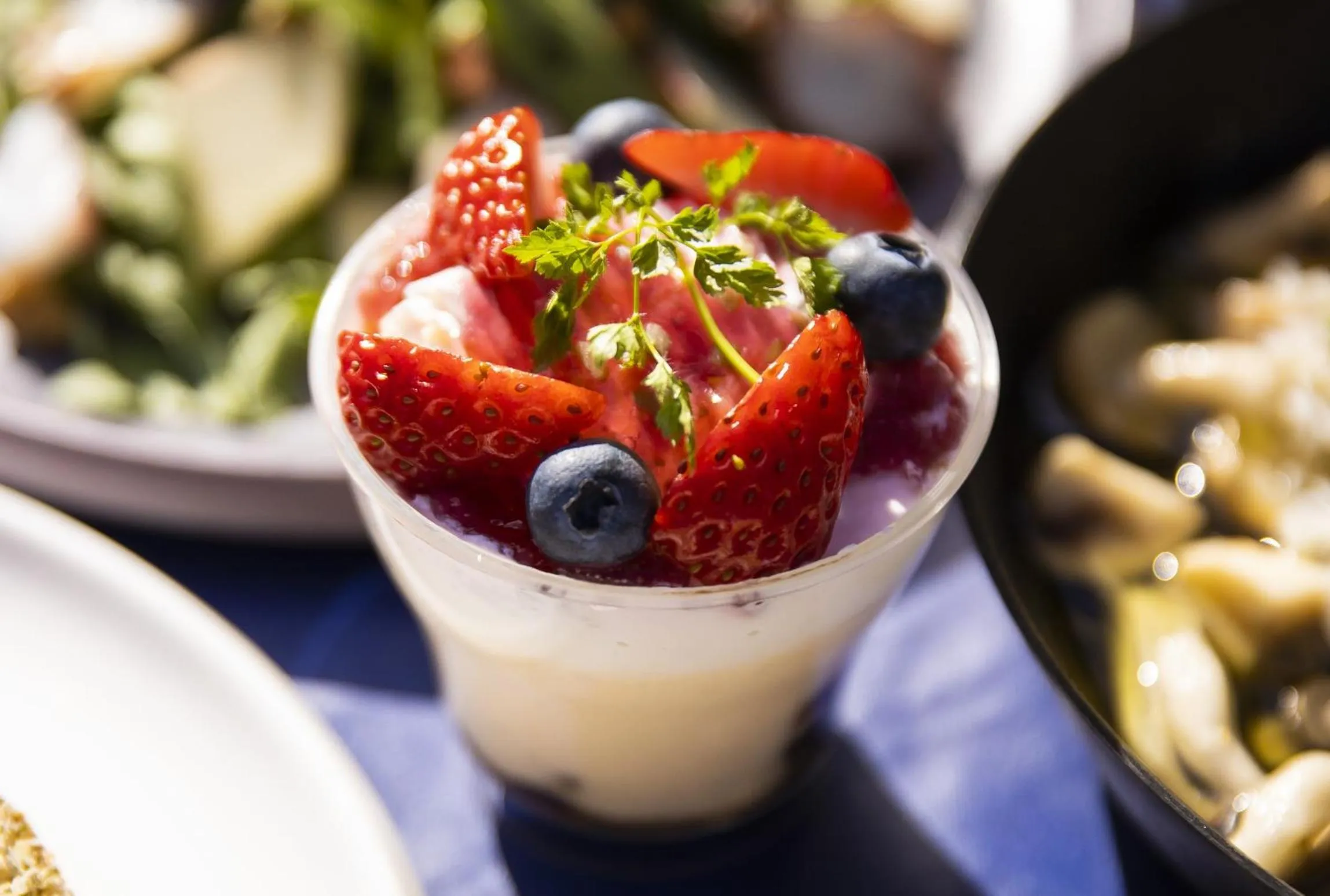 Dinner in The SENSE FUJI