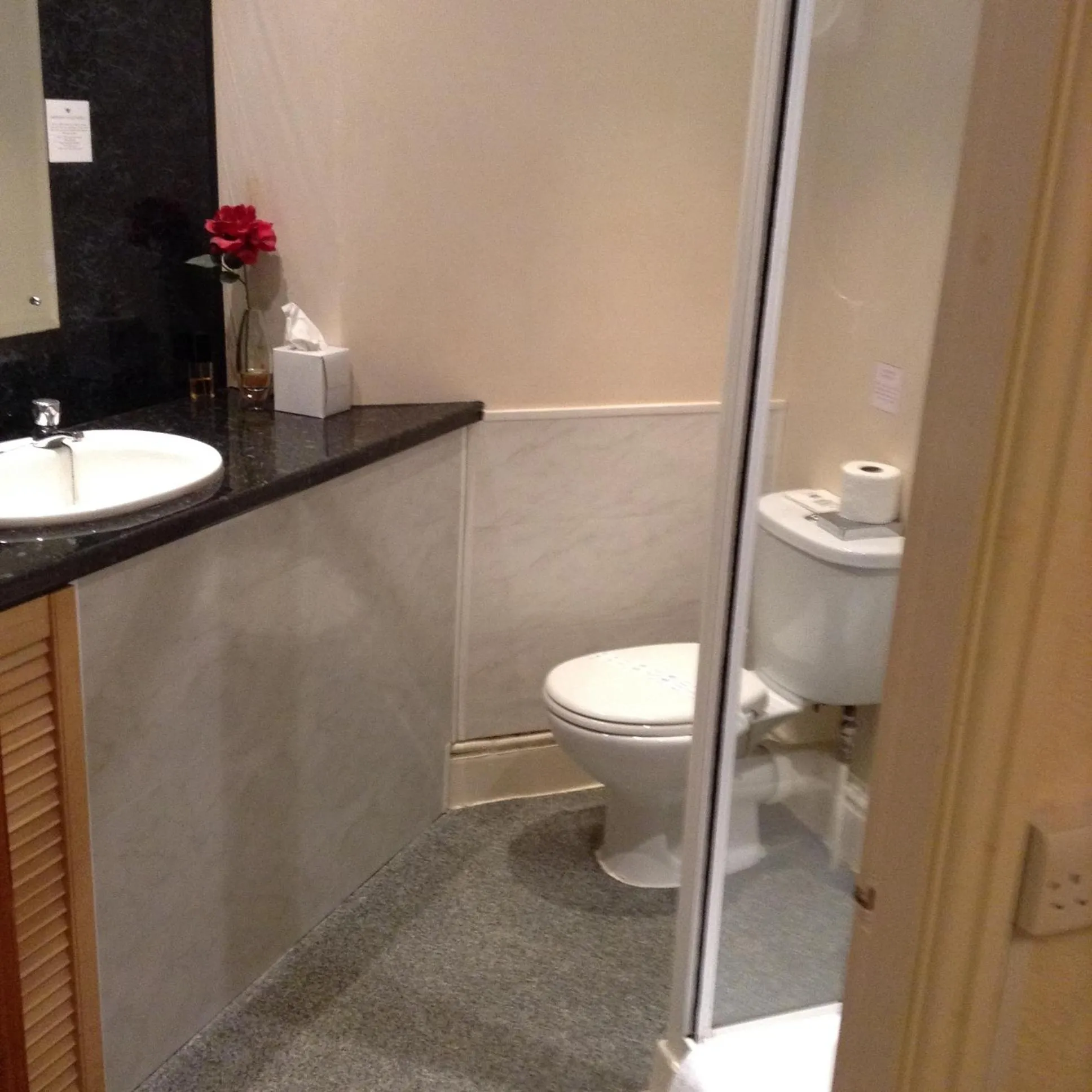 Toilet in The Fernroyd