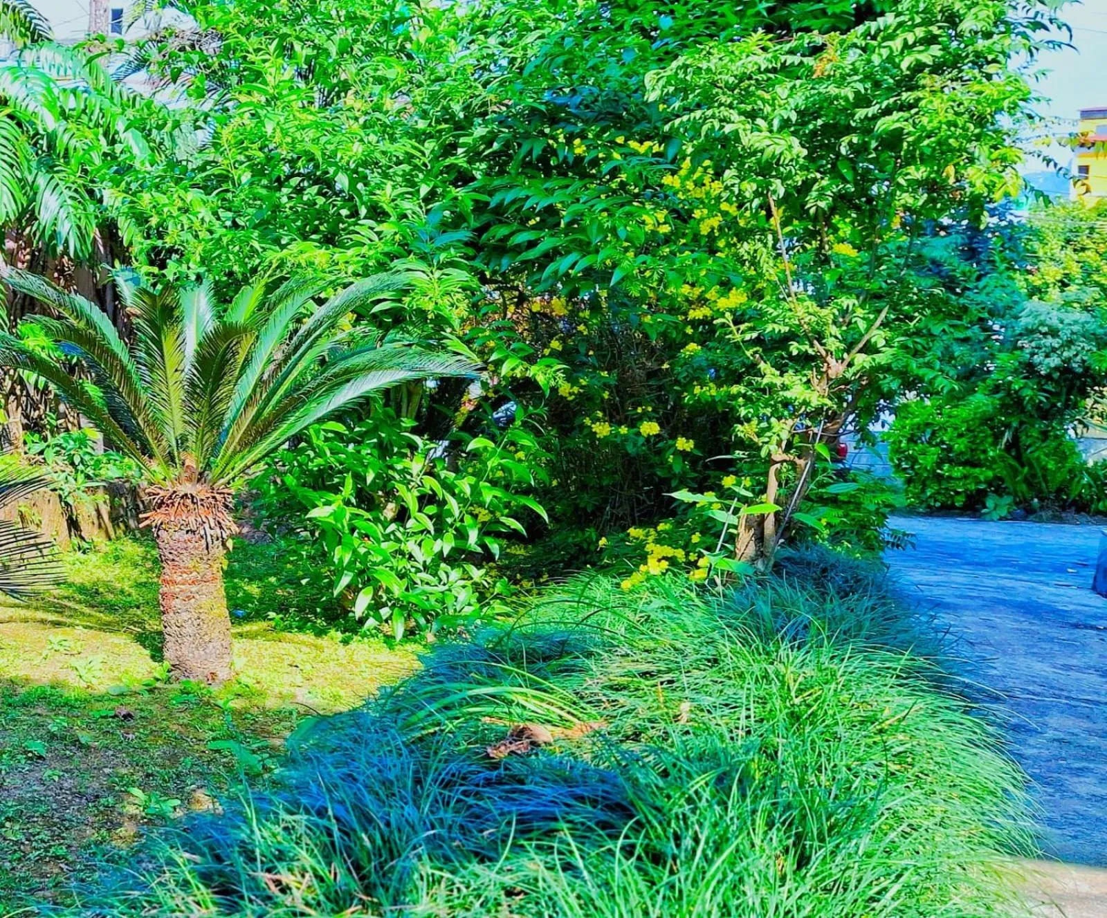 Hotel Deep Oasis Pokhara