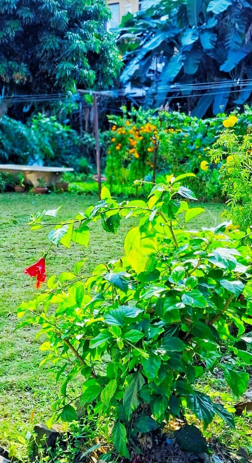 Hotel Deep Oasis Pokhara