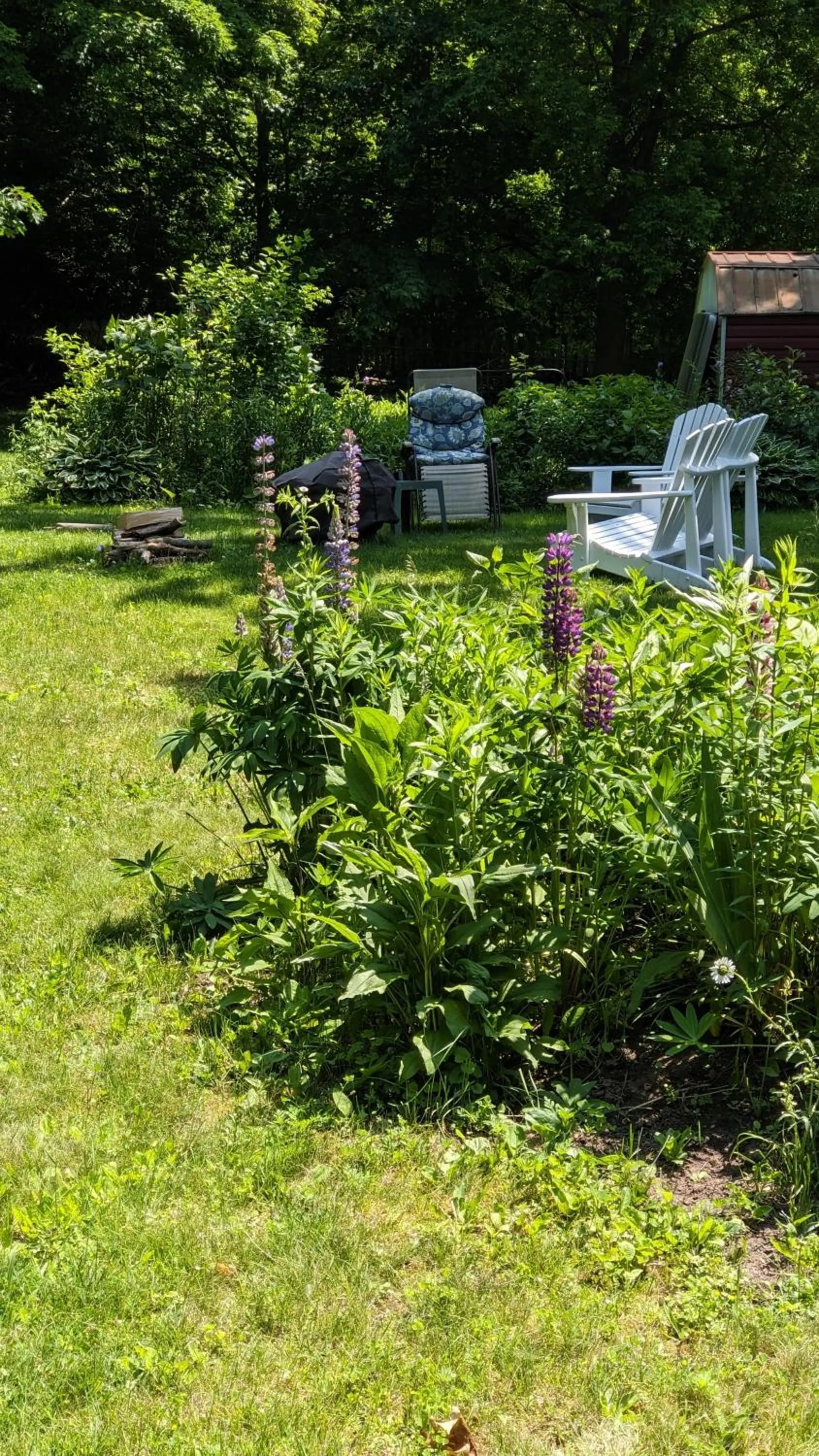 Garden view in The Captain's House heritage bed & breakfast