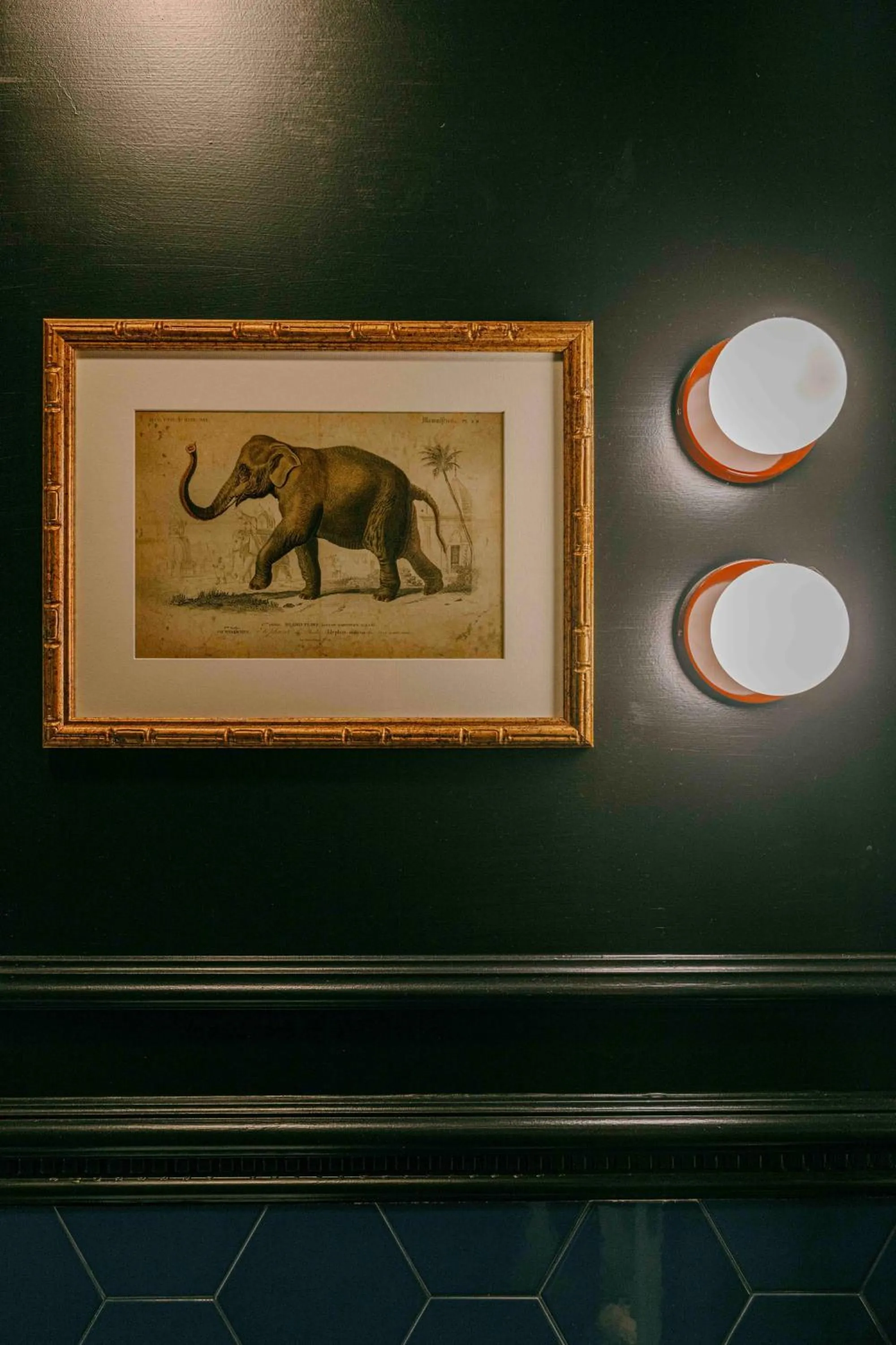 V Collection Condotti