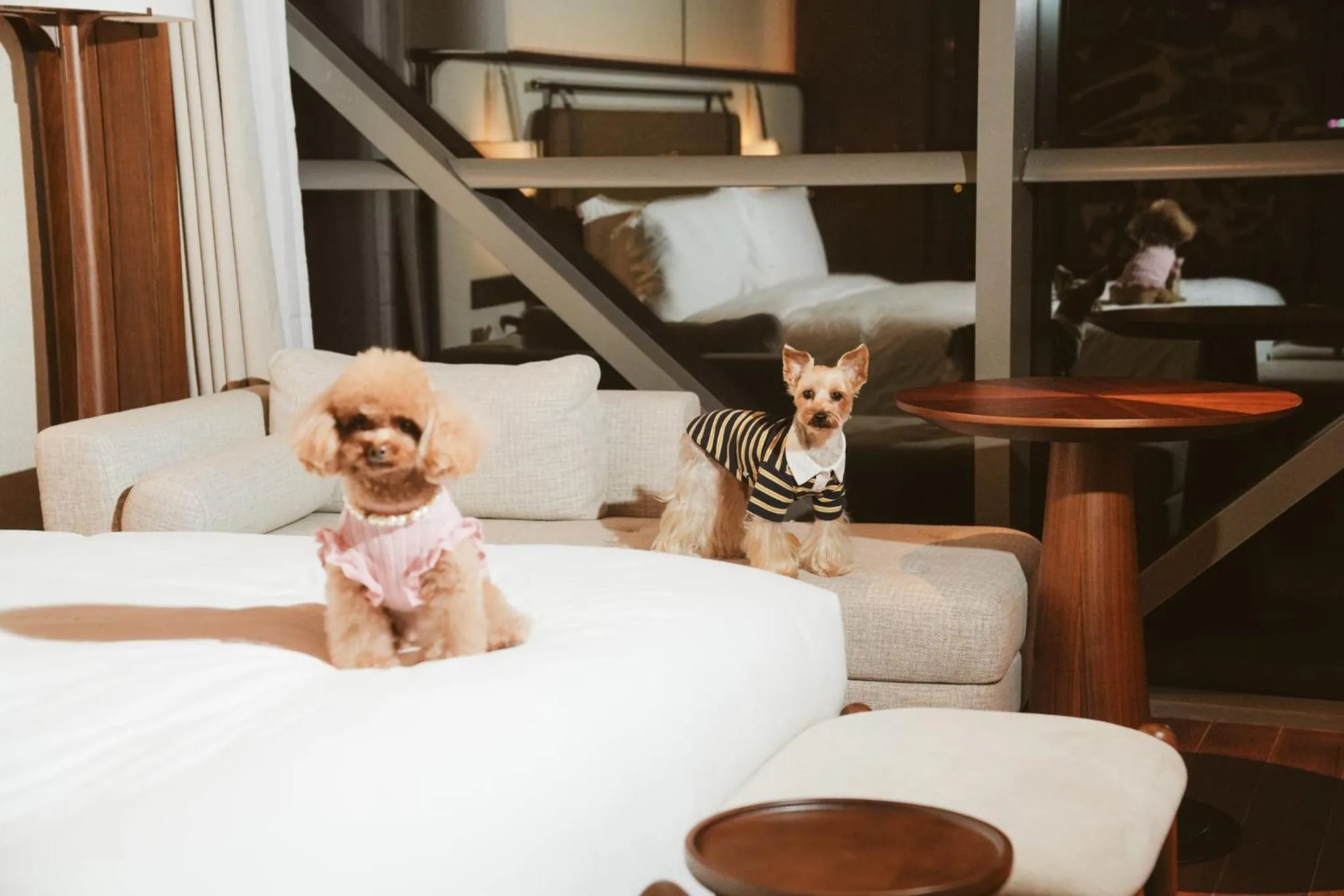 Photo of the whole room, Bed in Vignette Collection Shanghai Snow World Hotel by IHG