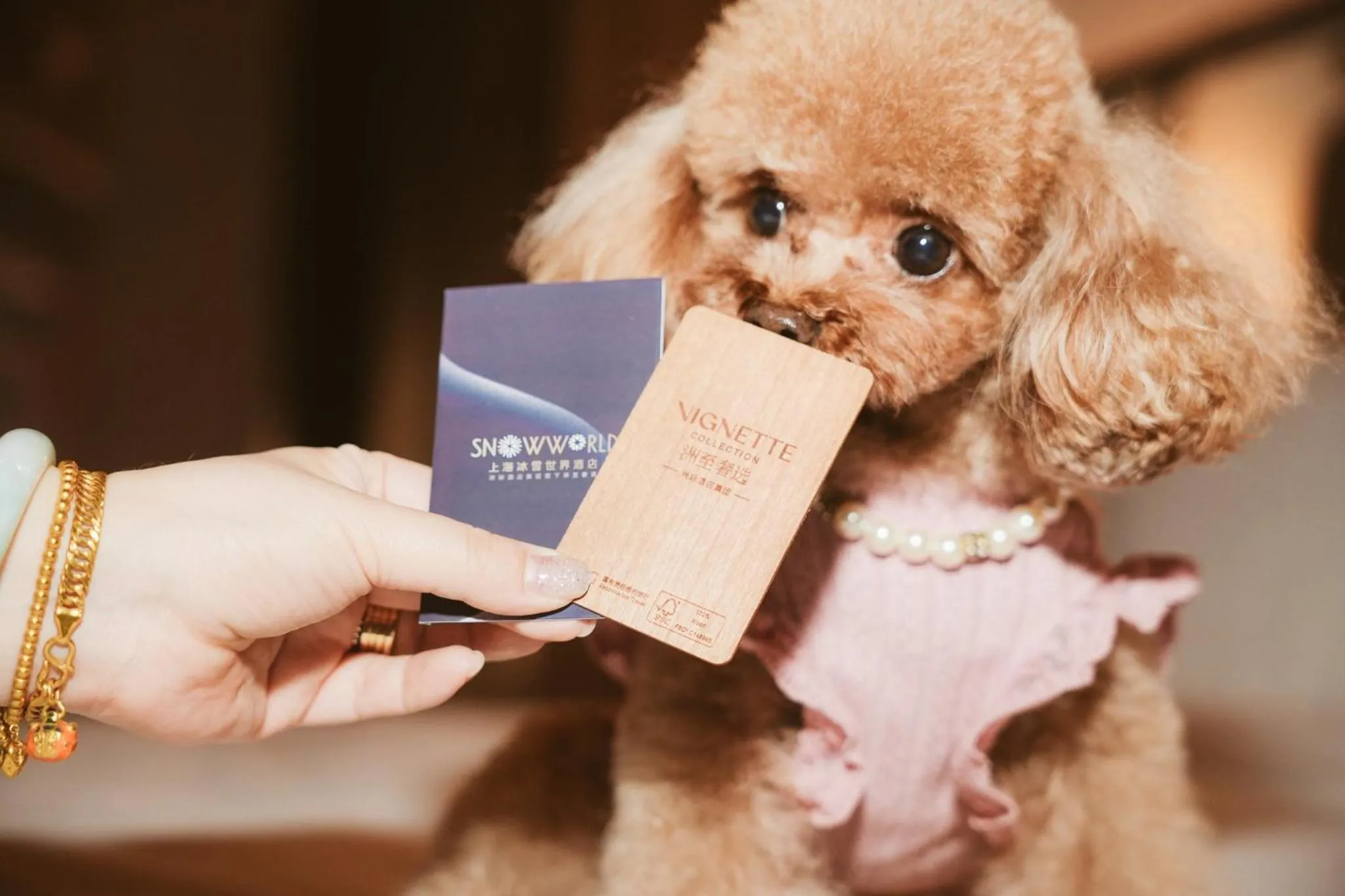 Photo of the whole room in Vignette Collection Shanghai Snow World Hotel by IHG