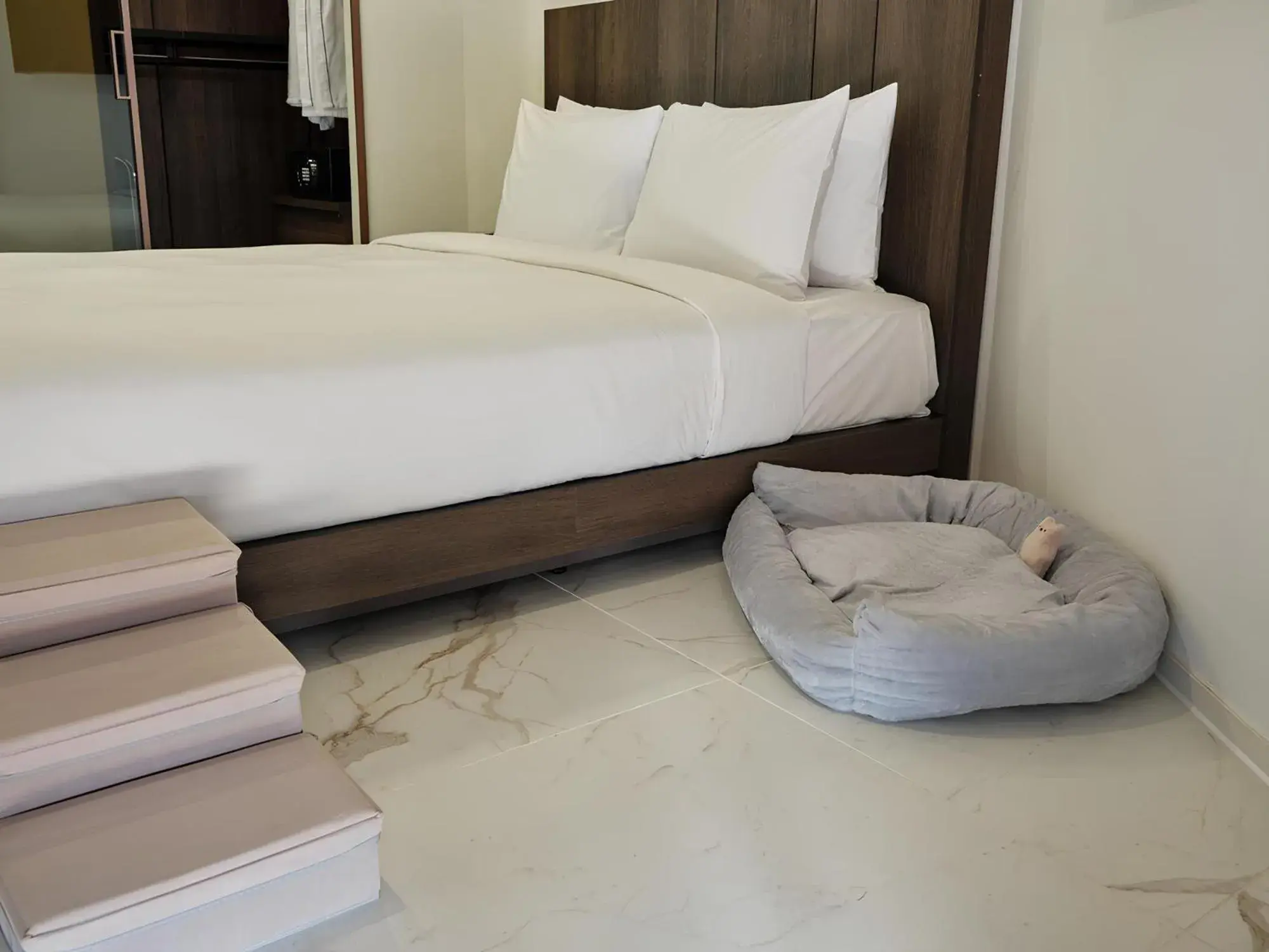 Pet Botanik Suite in Hotel The Botanik Sewoon Myeongdong Pet Botanik Suite in Hotel The Botanik Sewoon Myeongdong