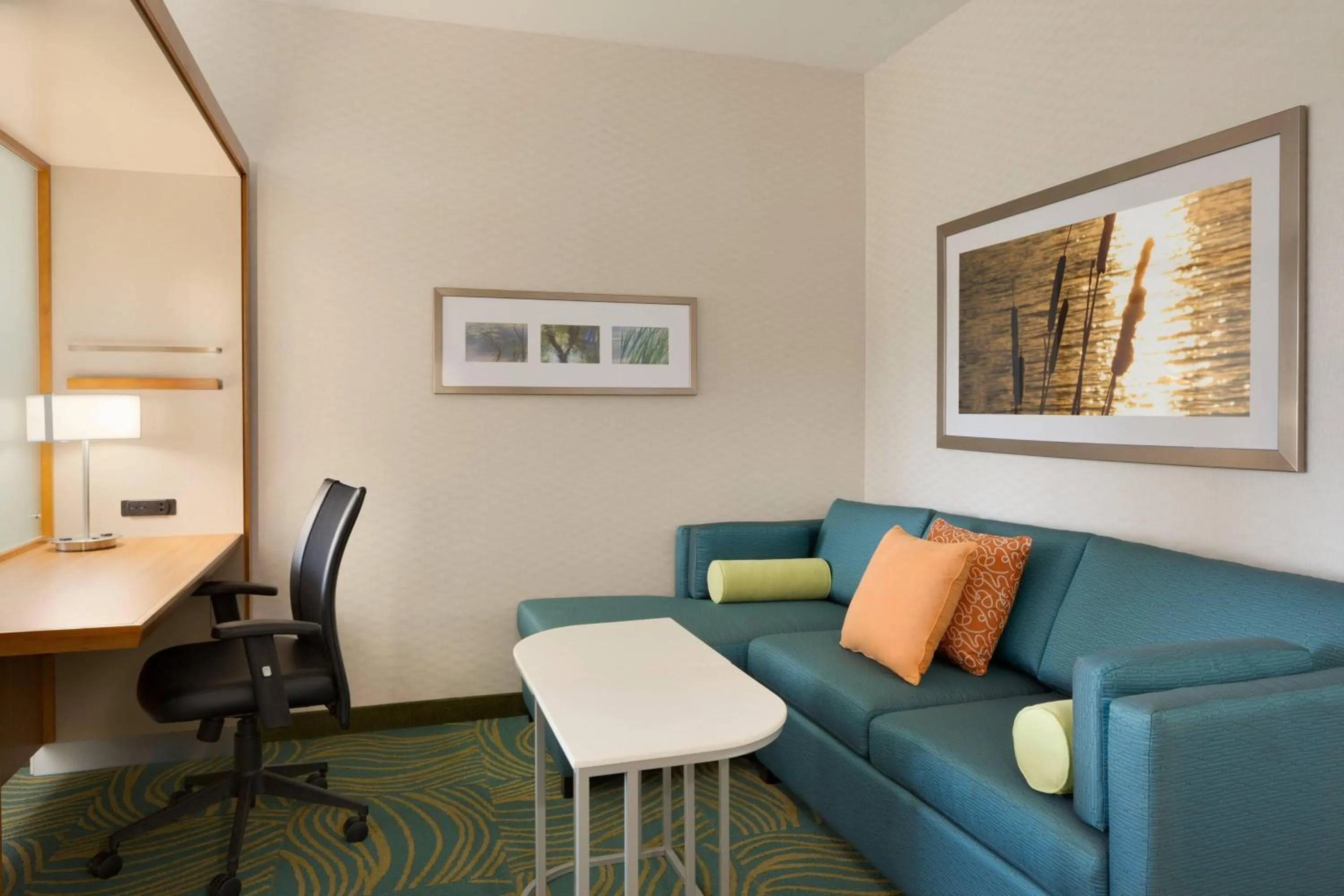 Living room in SpringHill Suites by Marriott Tuscaloosa
