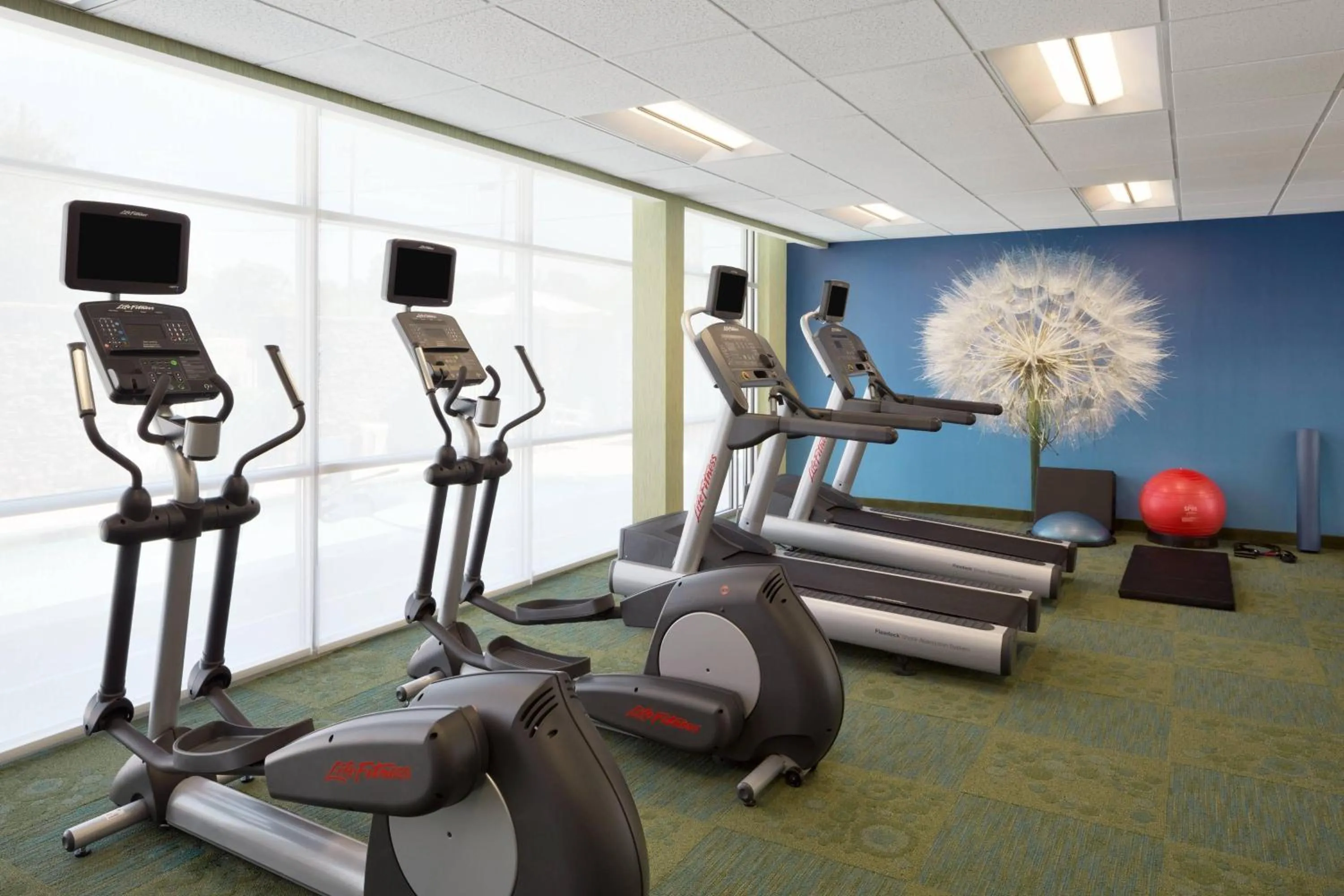 Fitness centre/facilities in SpringHill Suites by Marriott Tuscaloosa