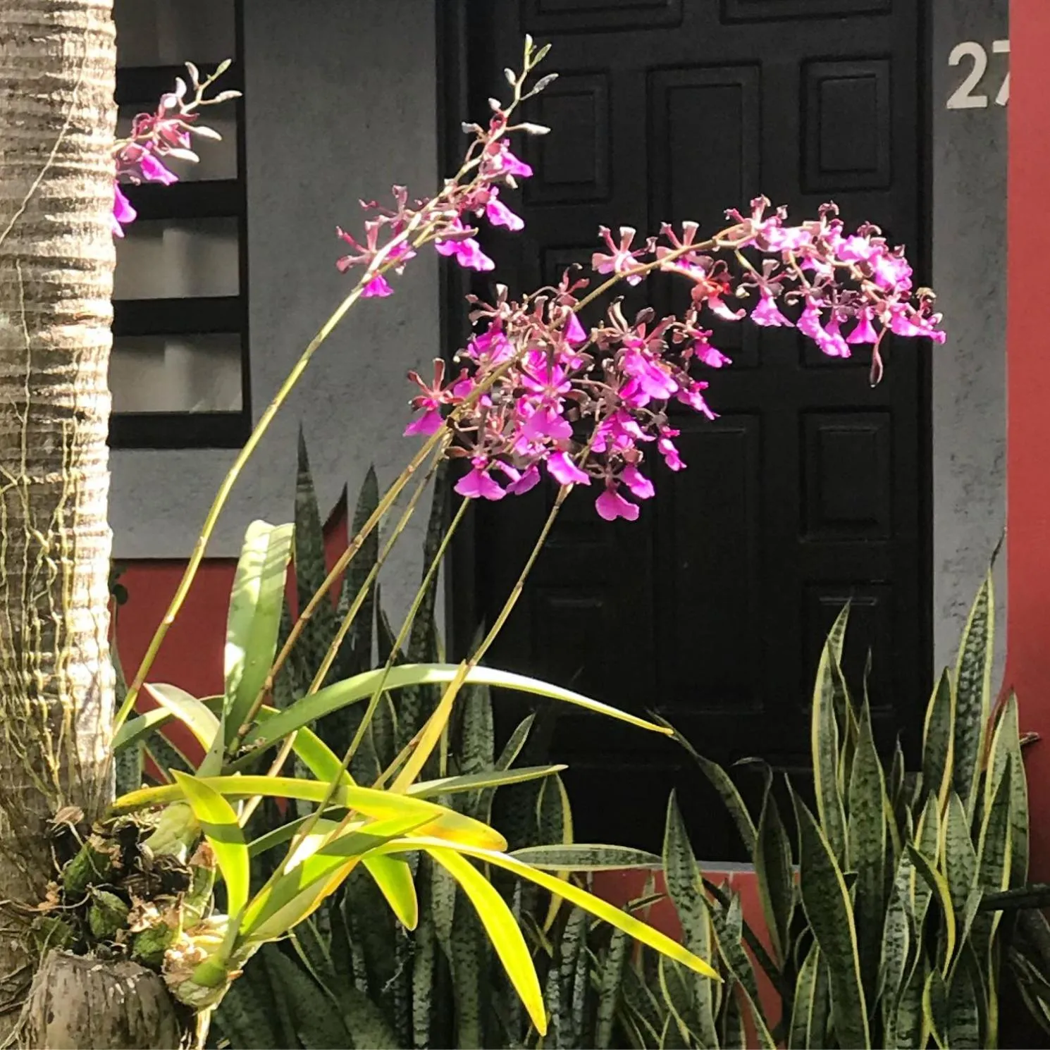 Garden in Hotel Gran David