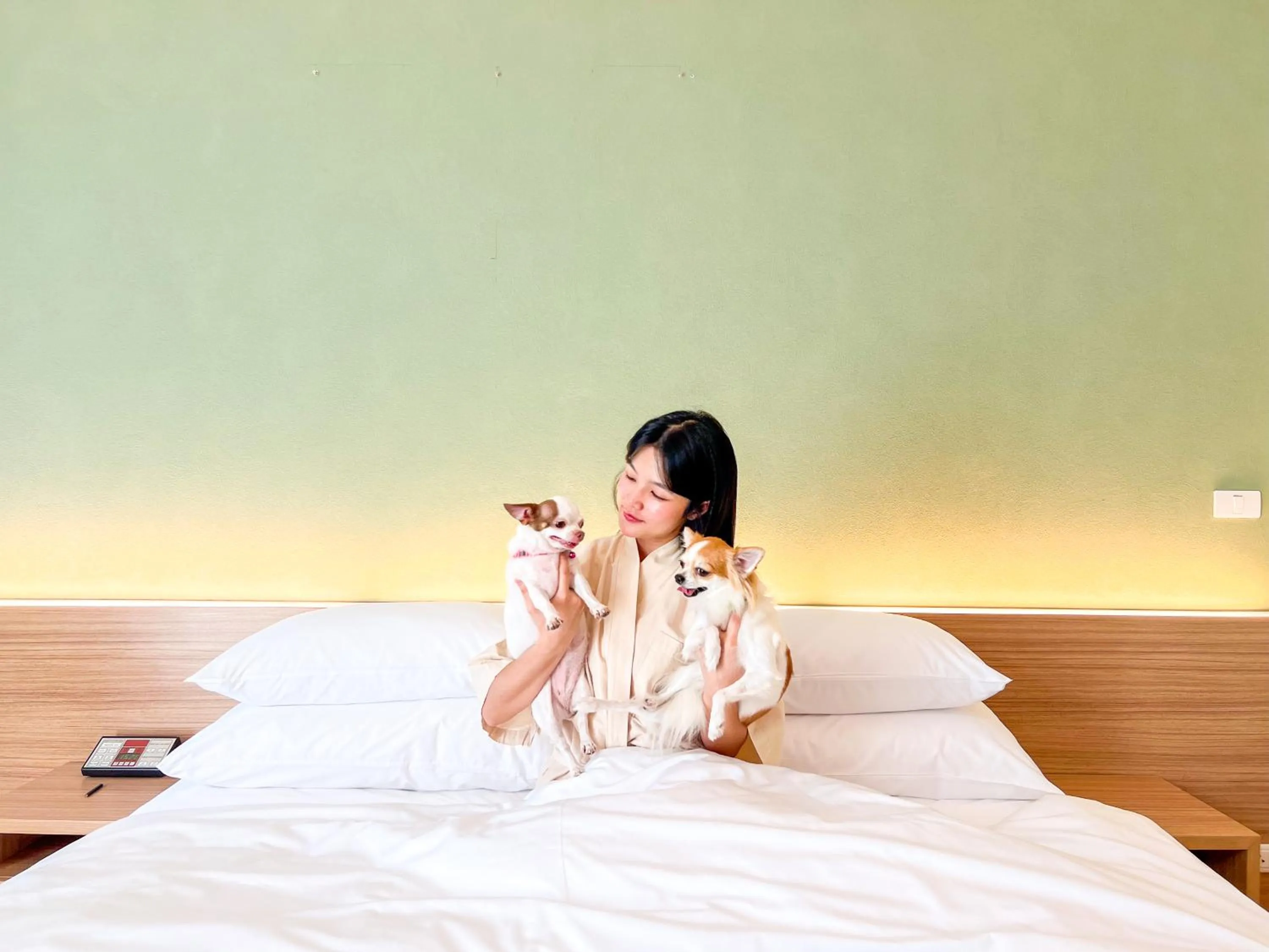 Bed in The Kaset, Hua Hin