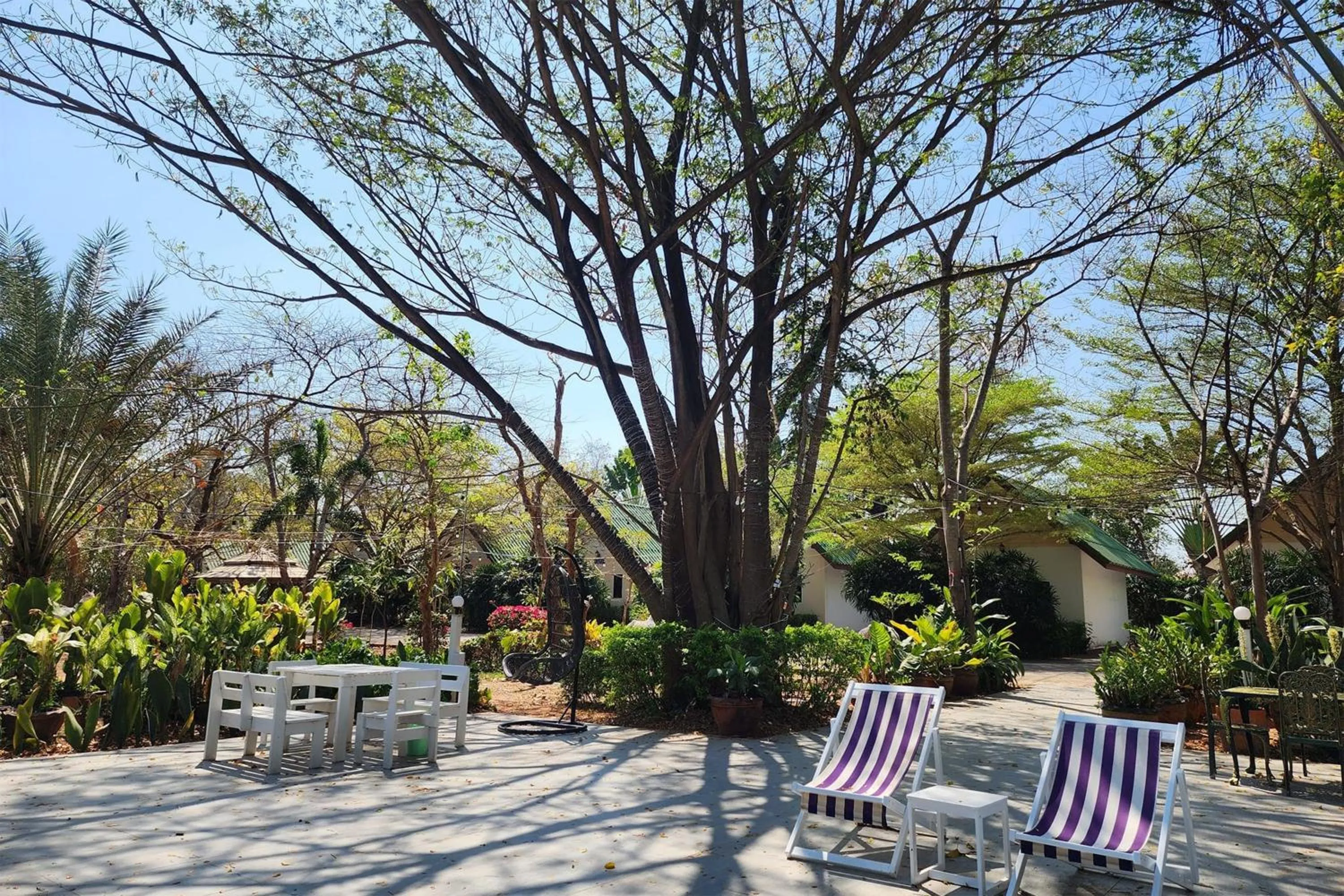 Garden in Rung Rueng Resort