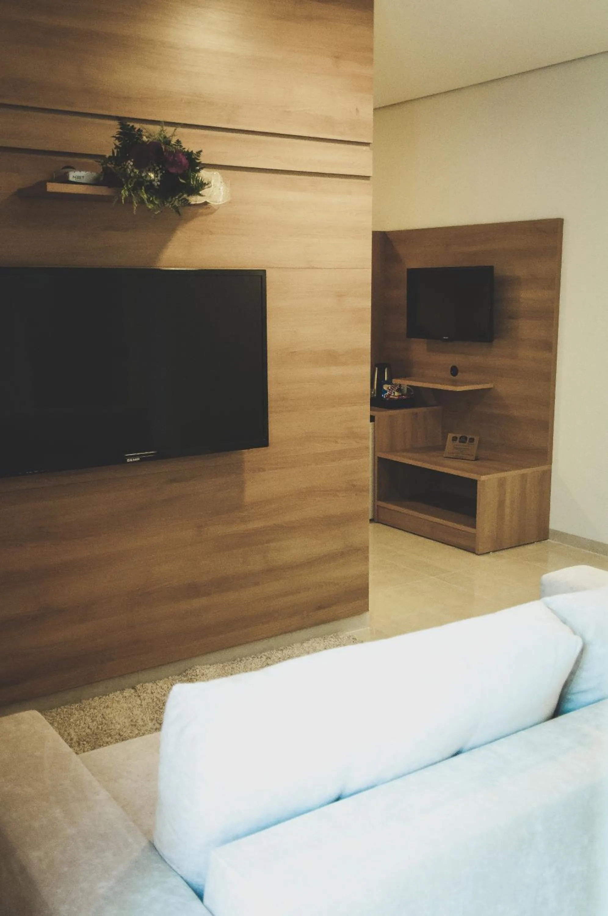TV and multimedia in Nobile Suites Gran Lumni