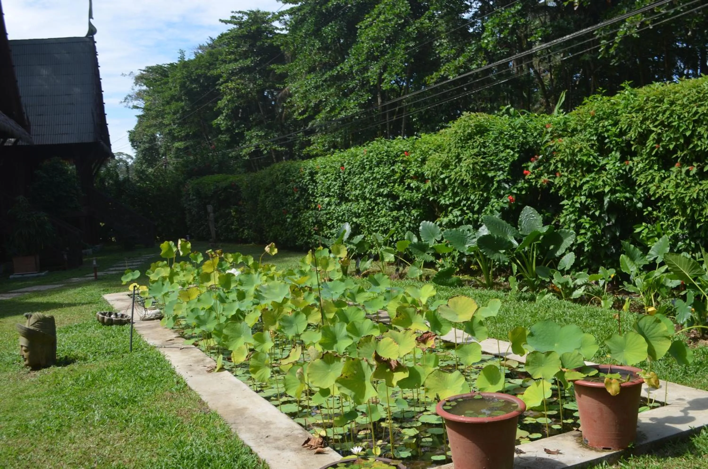 Garden in Lanna Ban Hotel