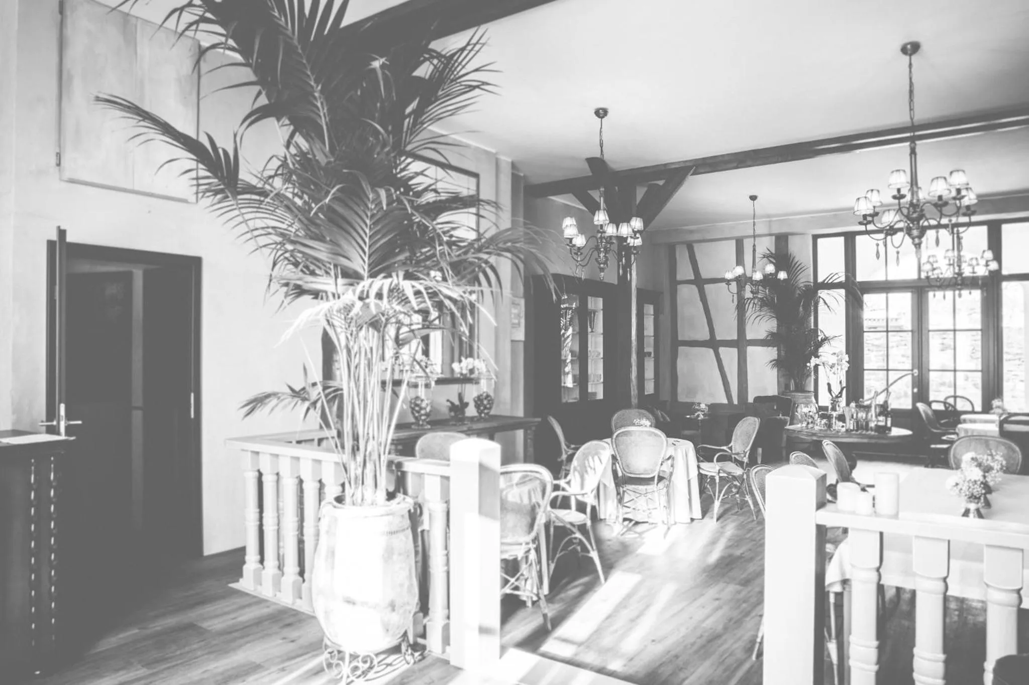 Lounge or bar in Hotel Bellini