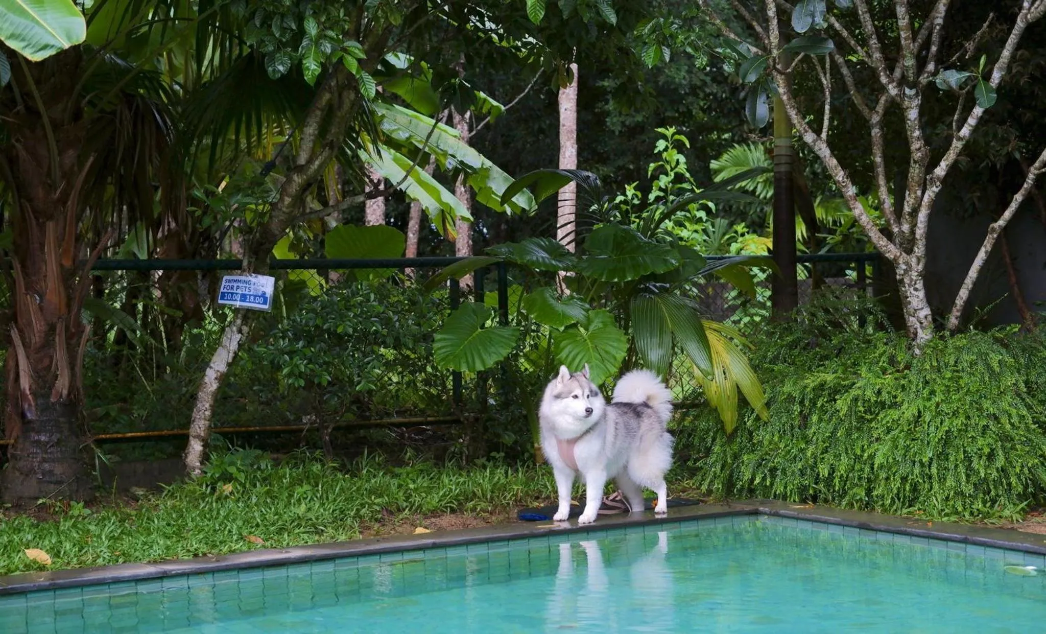 Pool view in Kokotel Khao Lak Isara Casa