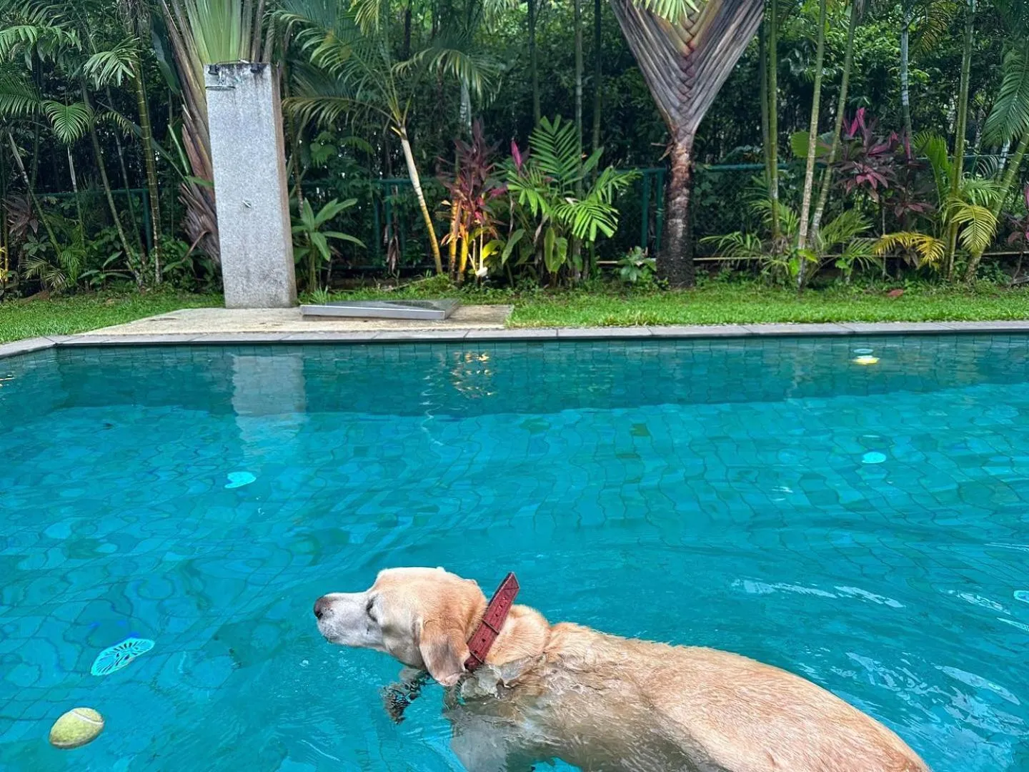 Swimming pool in Kokotel Khao Lak Isara Casa