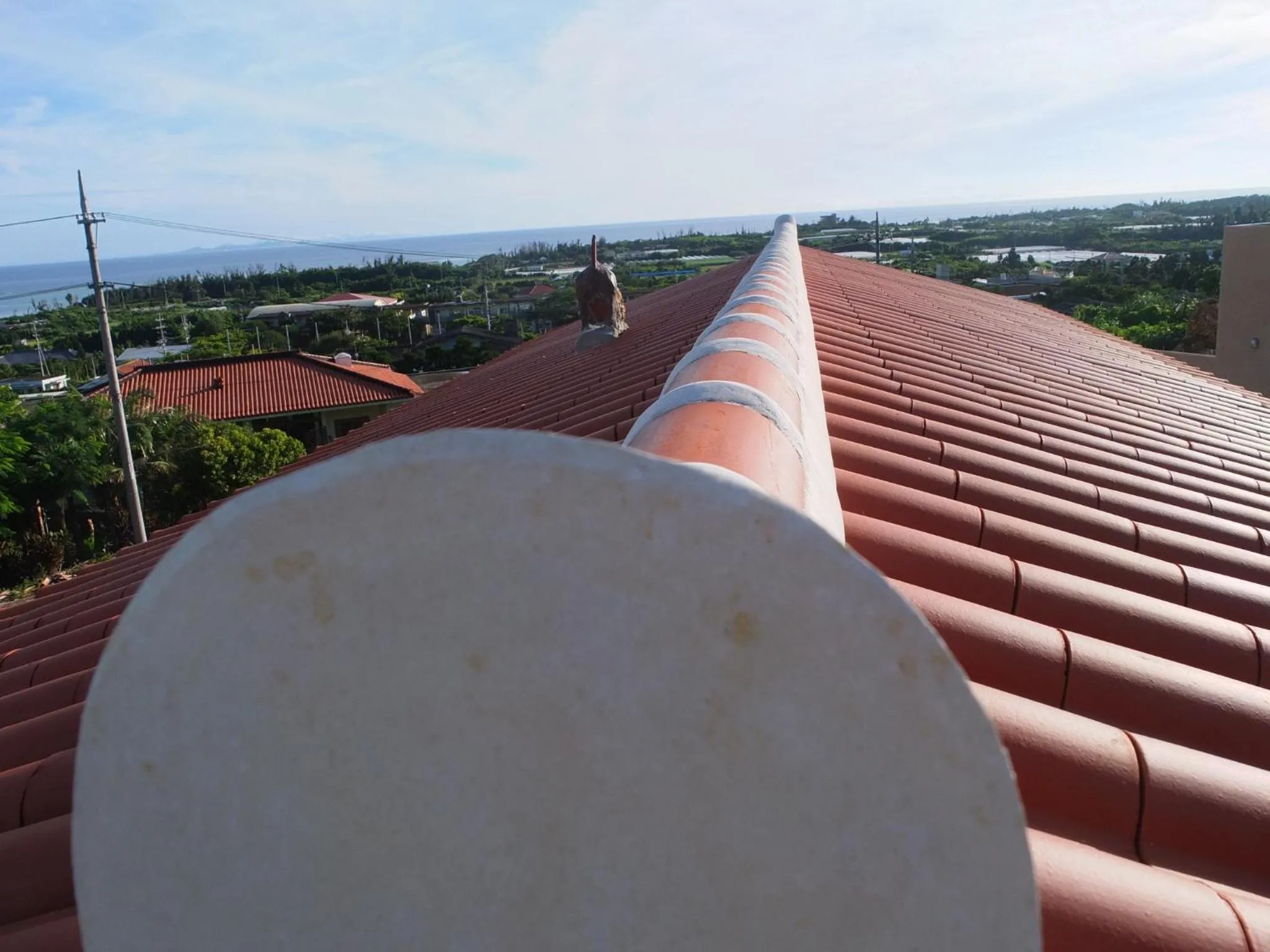 Bird's eye view in Somos