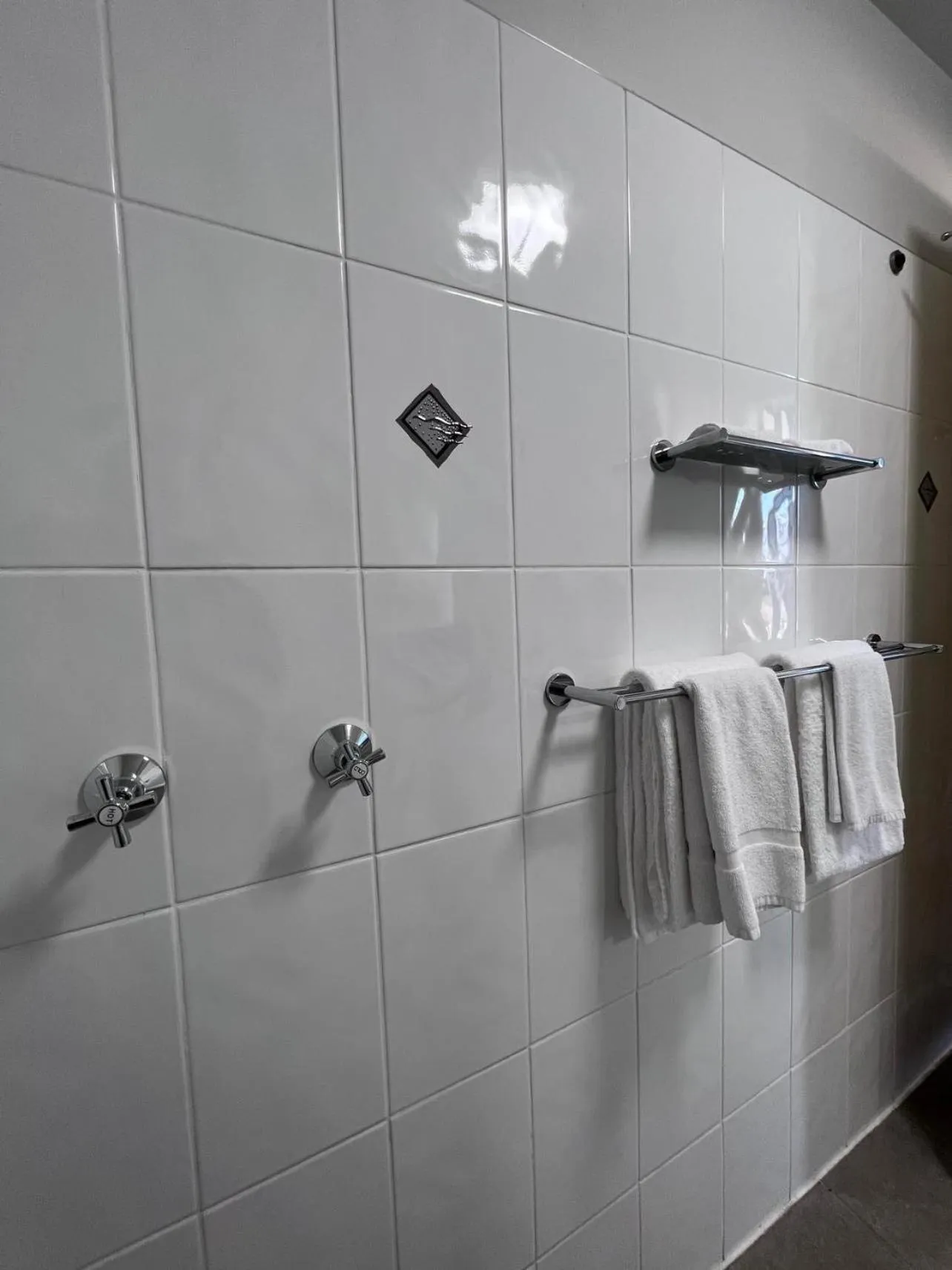 Shower in Country Roads Motor Inn Dysart