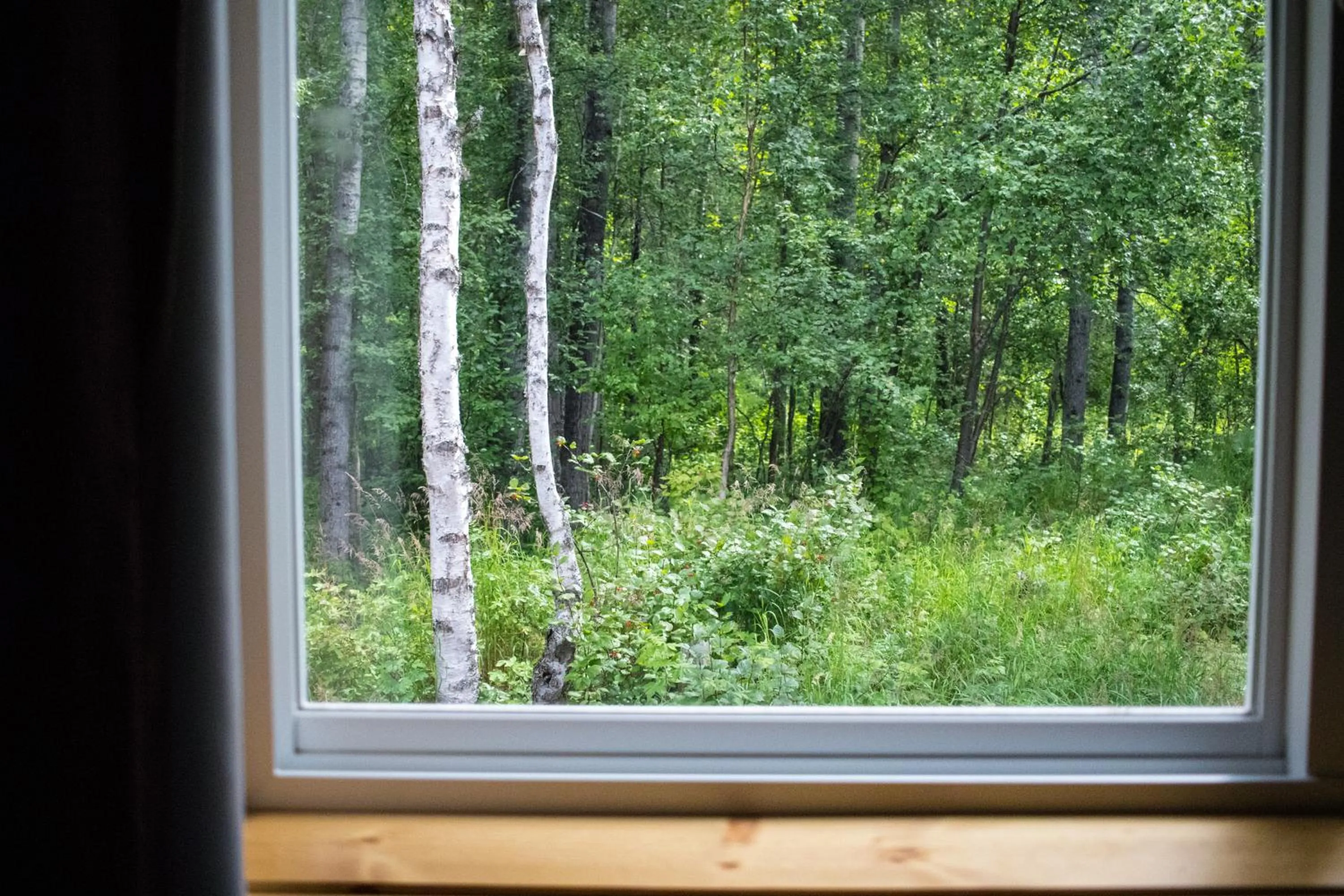 Garden view in Talkeetna Wilderness Lodge & Cabin Rentals