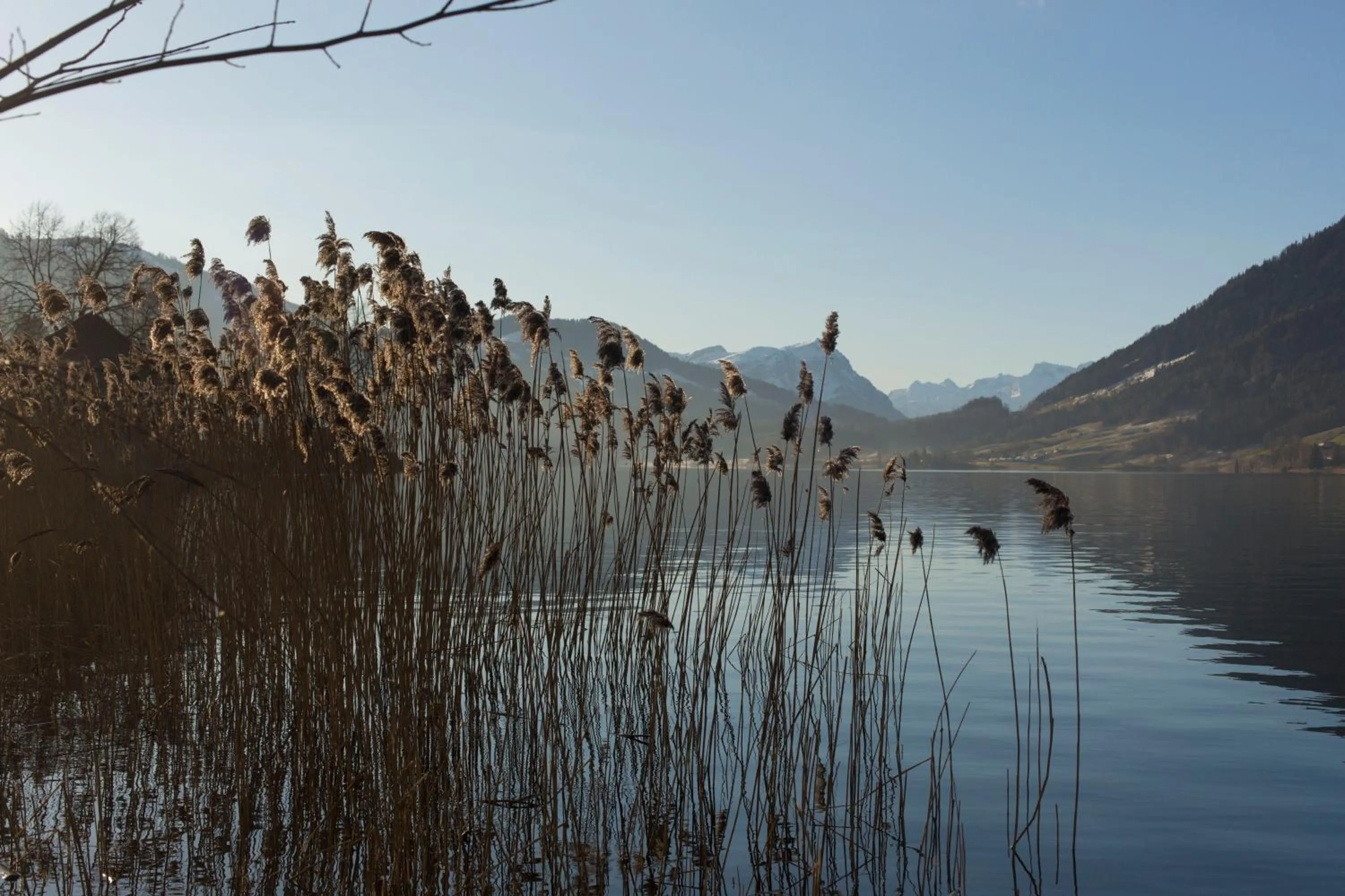 Natural landscape in Hotel Ländli