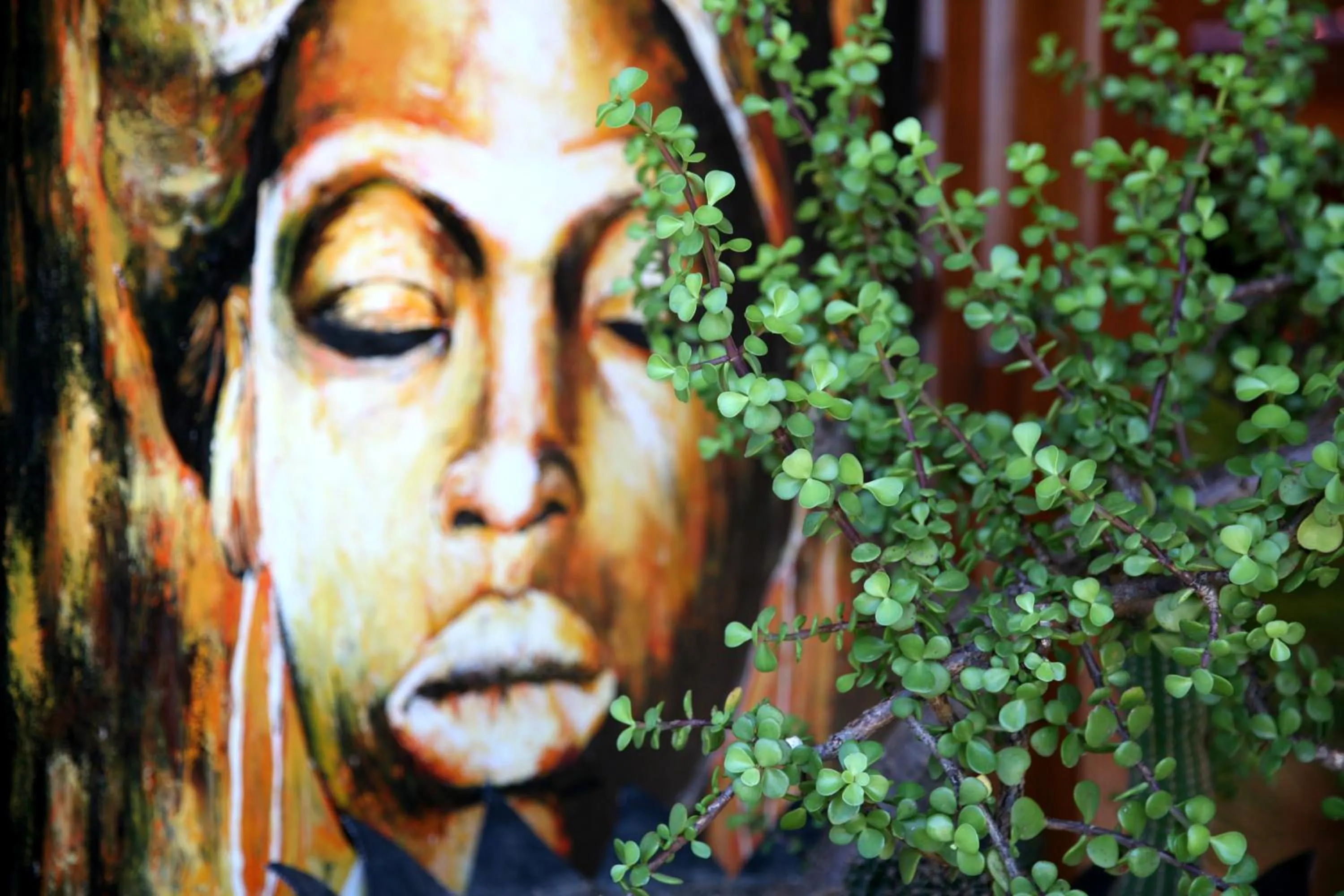 Night in Oasi Beach Hotel