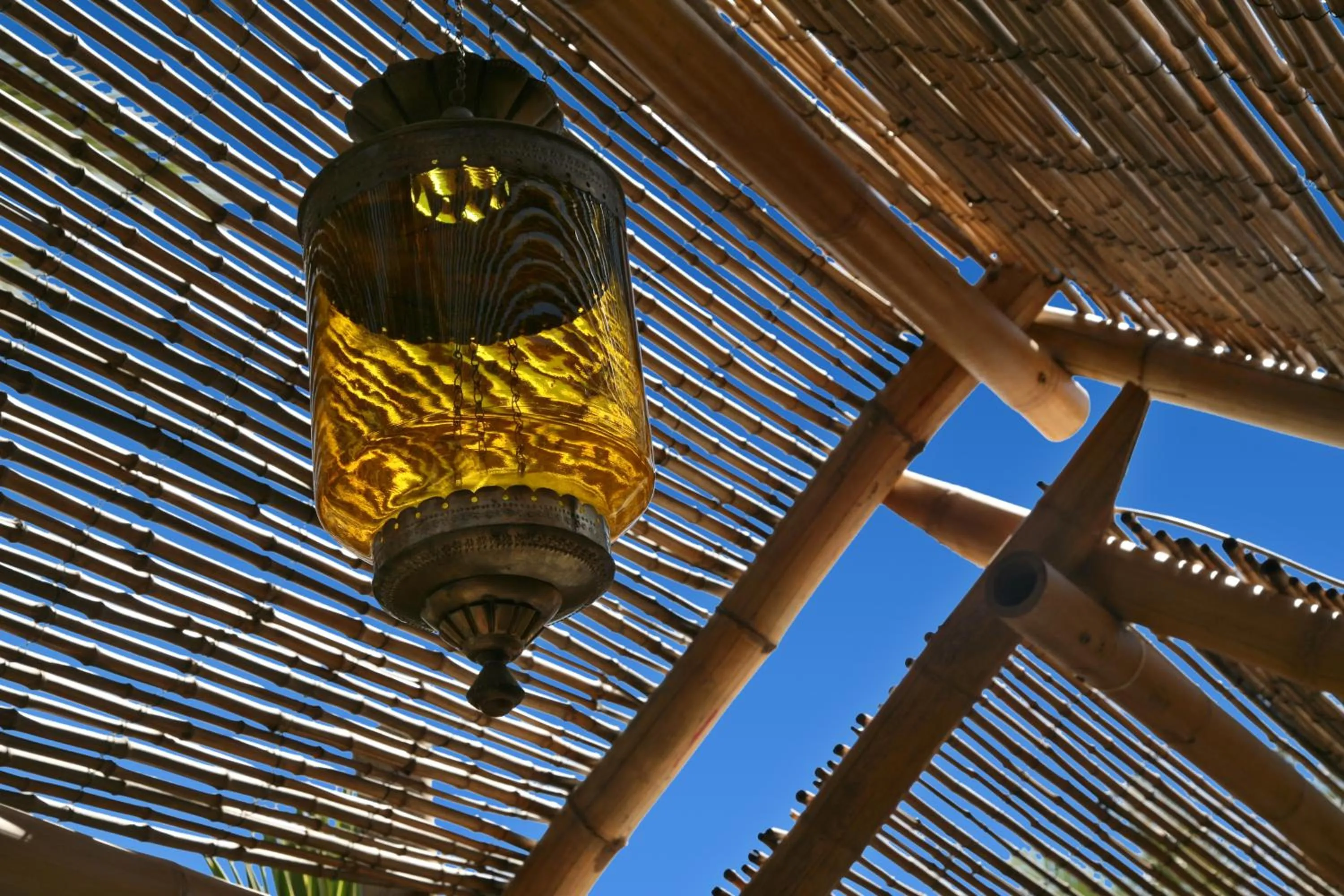 Day in Oasi Beach Hotel