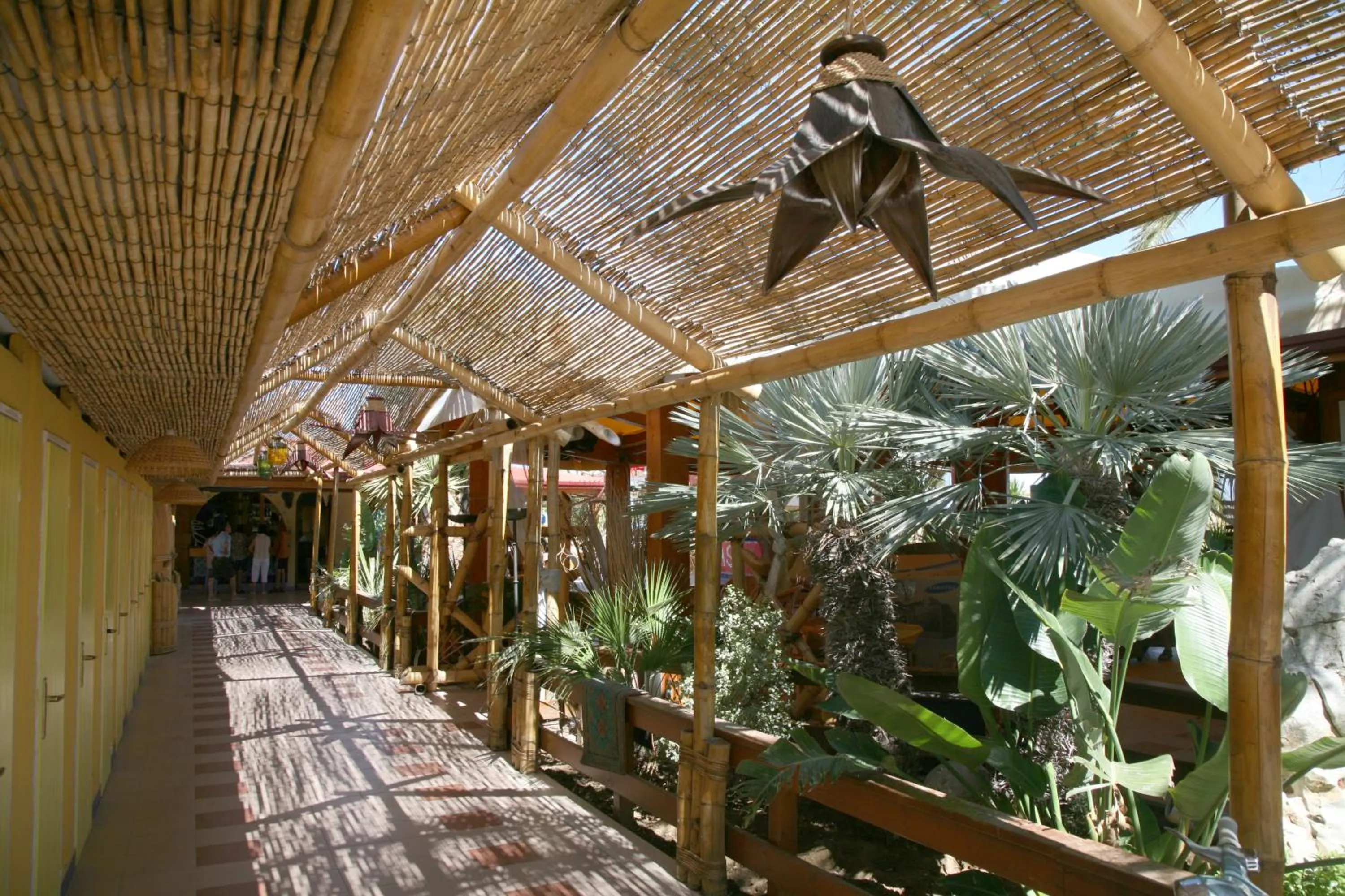 Day in Oasi Beach Hotel