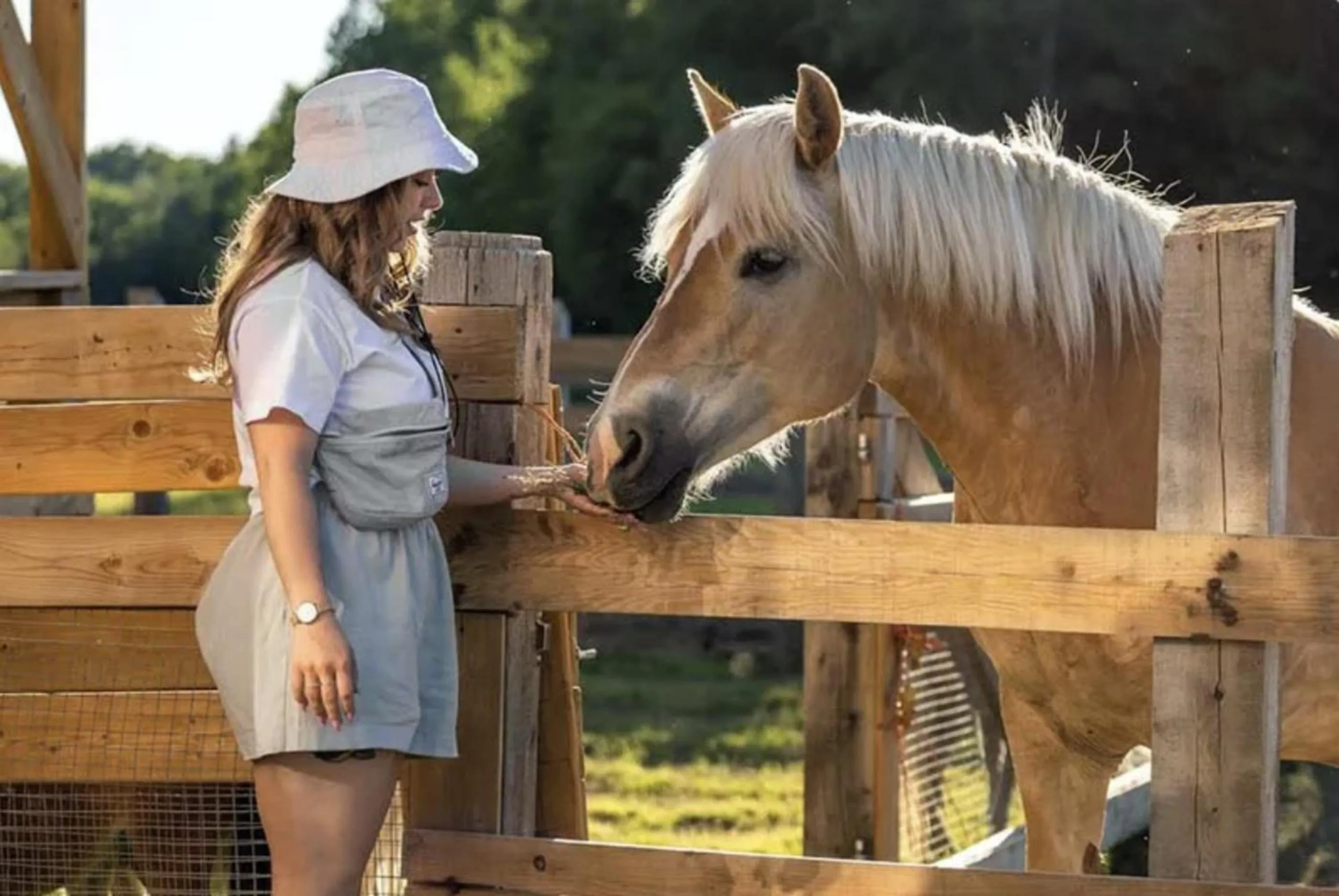 Animals in Bel Air Tremblant Hotel & Residences