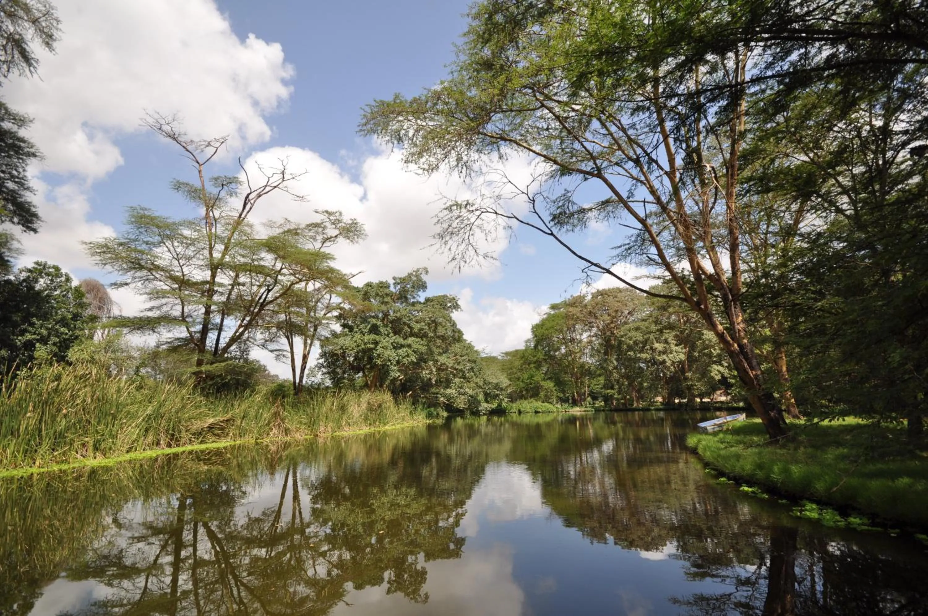River view in Hunters Lodge