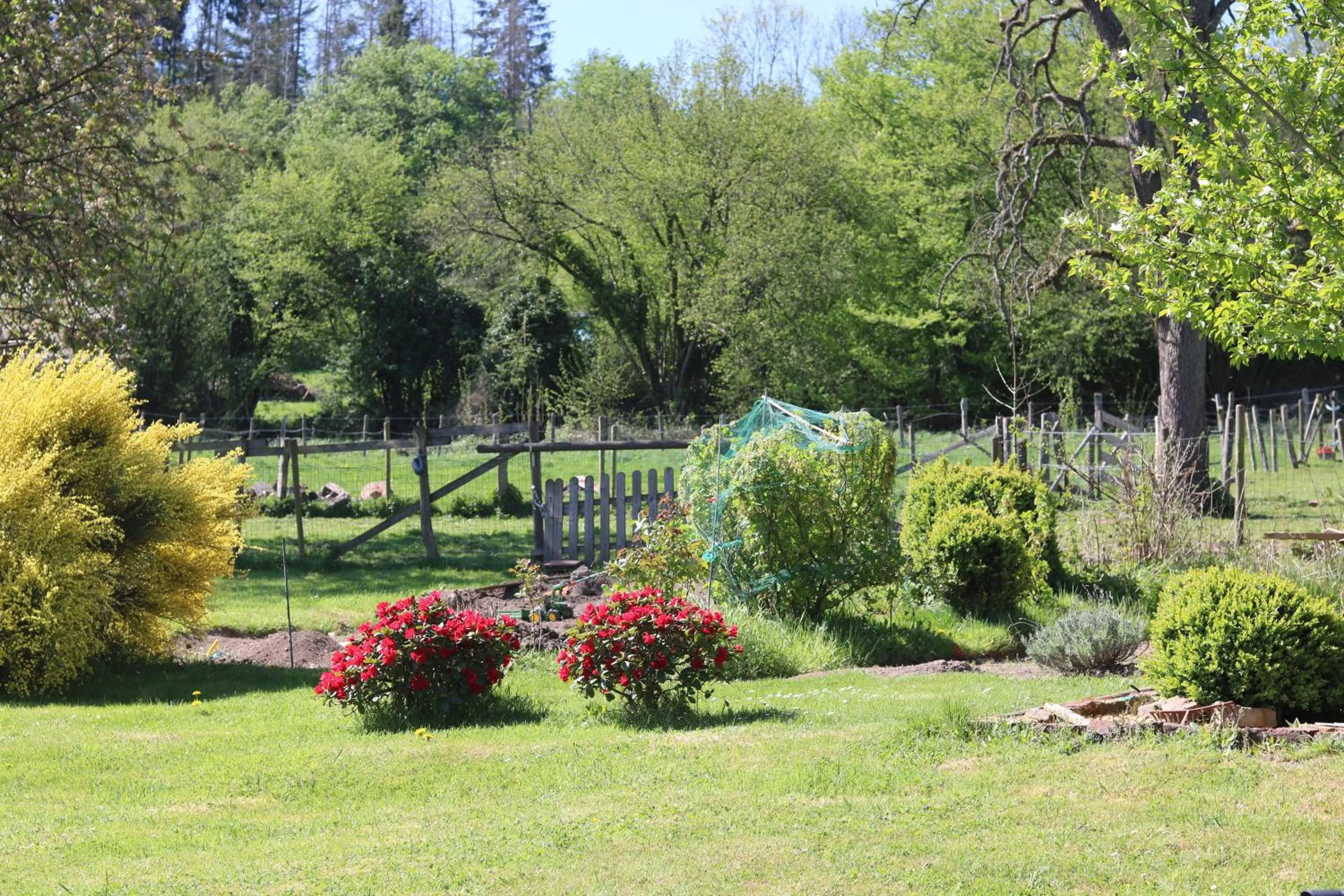Garden in B&B Ferme du Petit Breuil