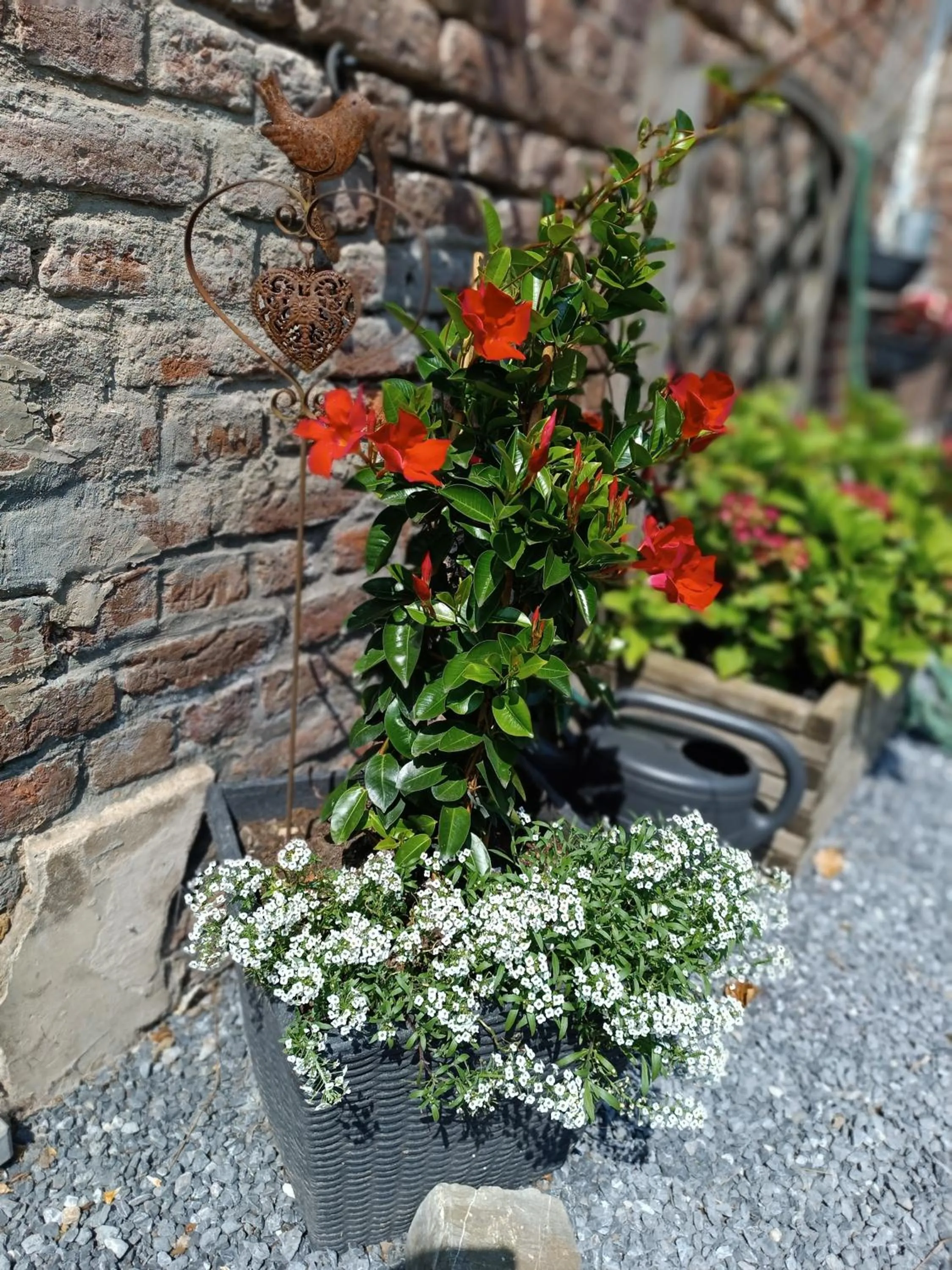 Garden in B&B Ferme du Petit Breuil