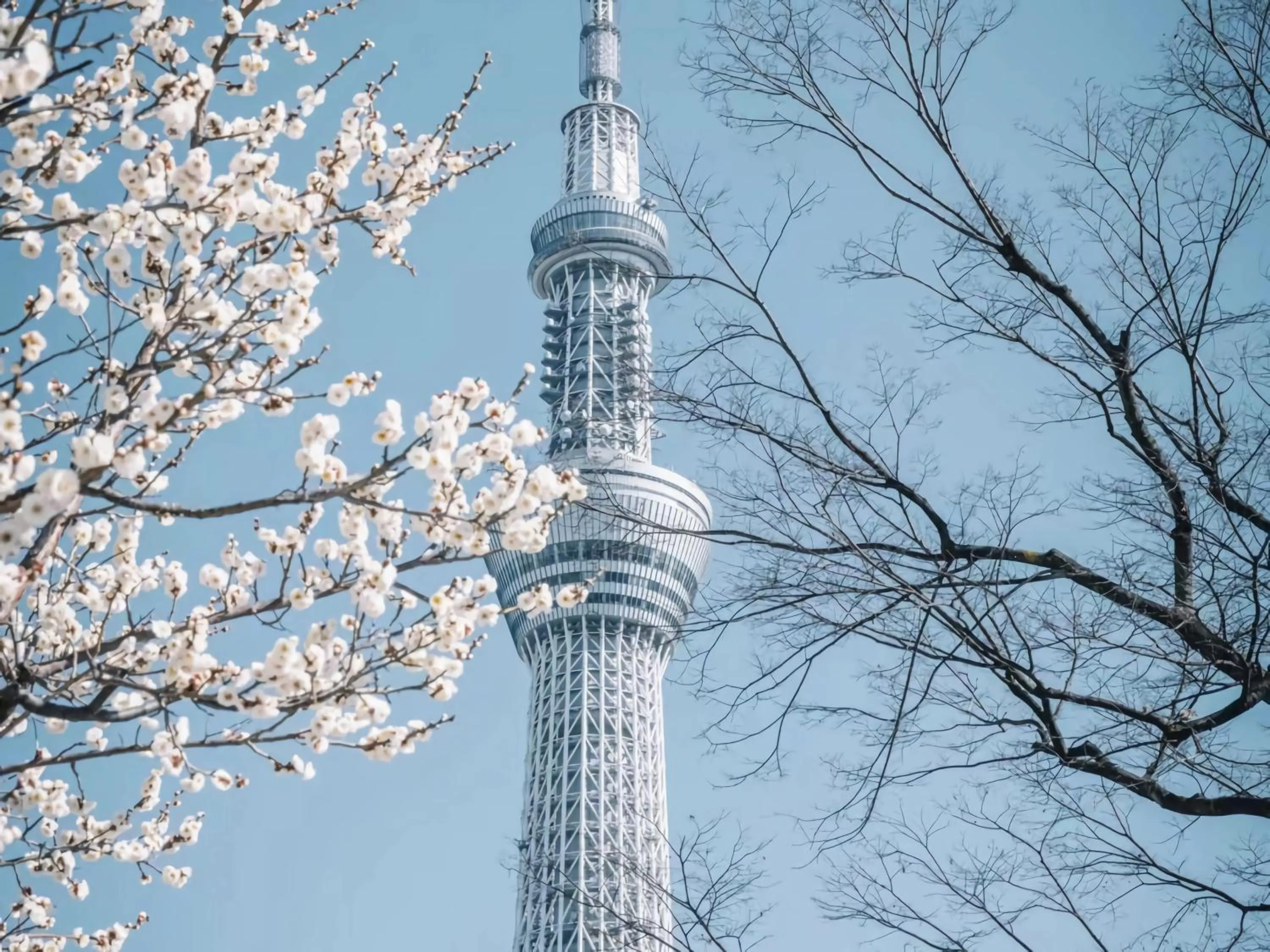 Nearby landmark in Softlight Inn Asakusa Tokyo