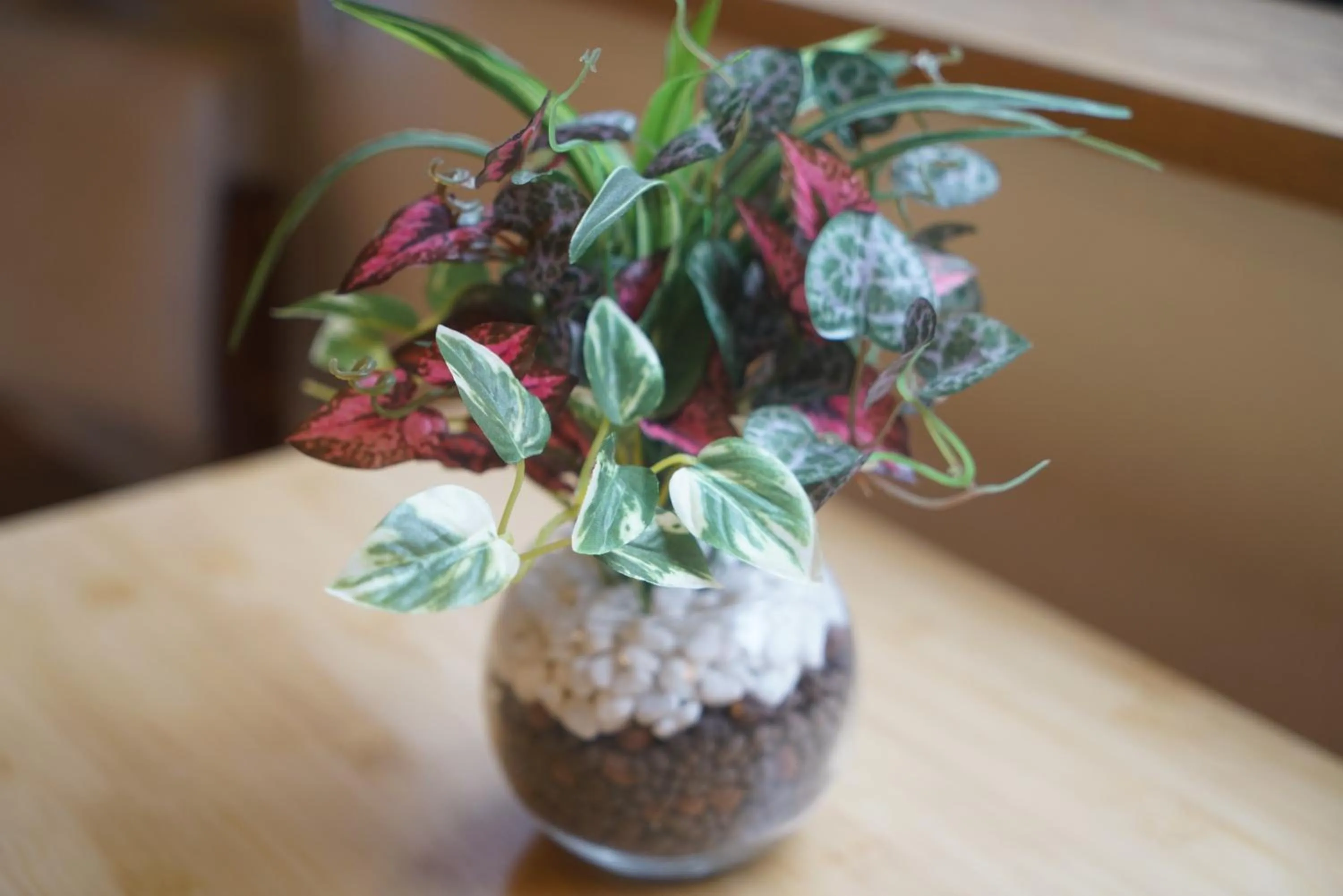 Softlight Inn Asakusa Tokyo