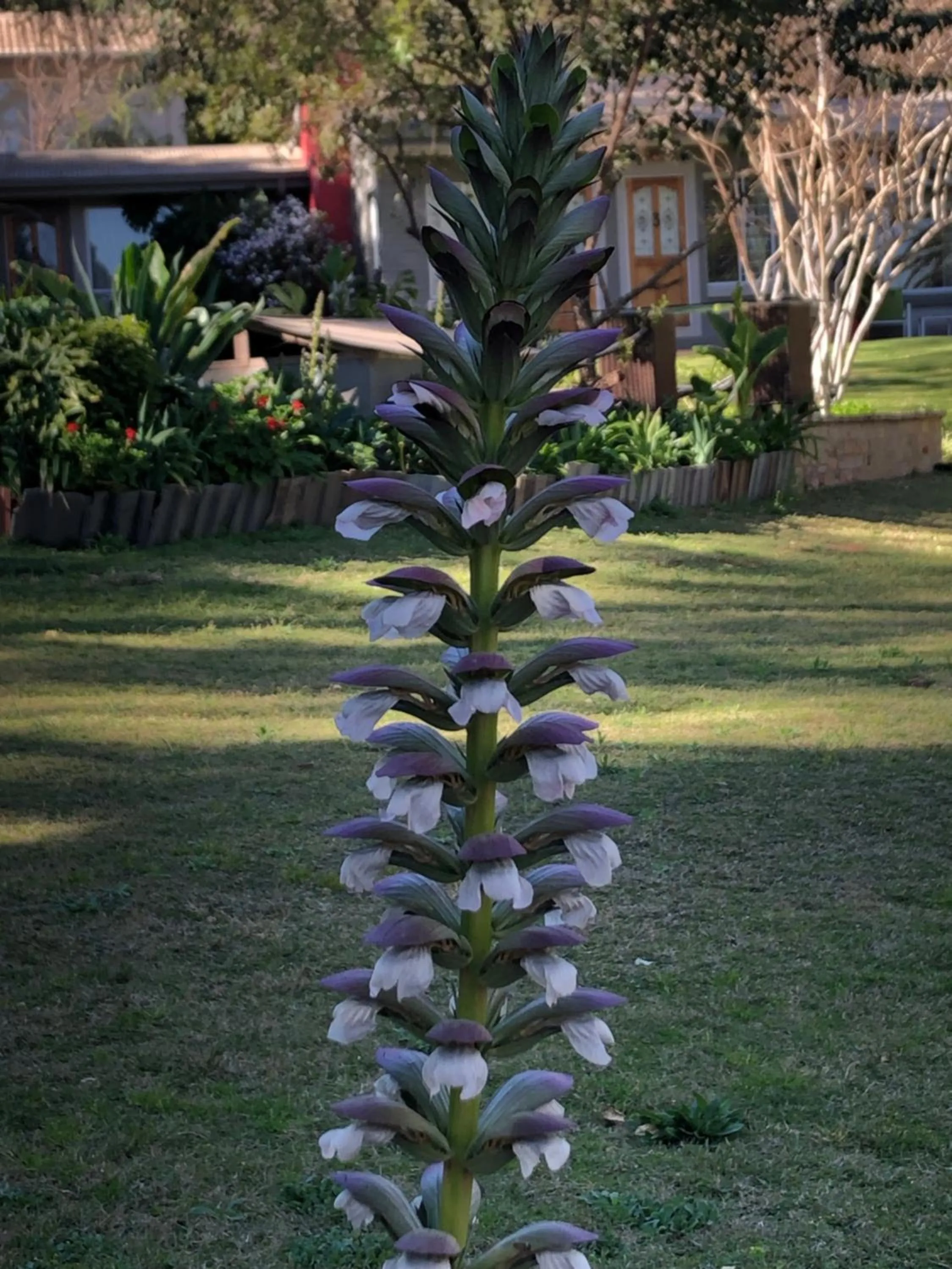 Spring in The Haystack On Homestead