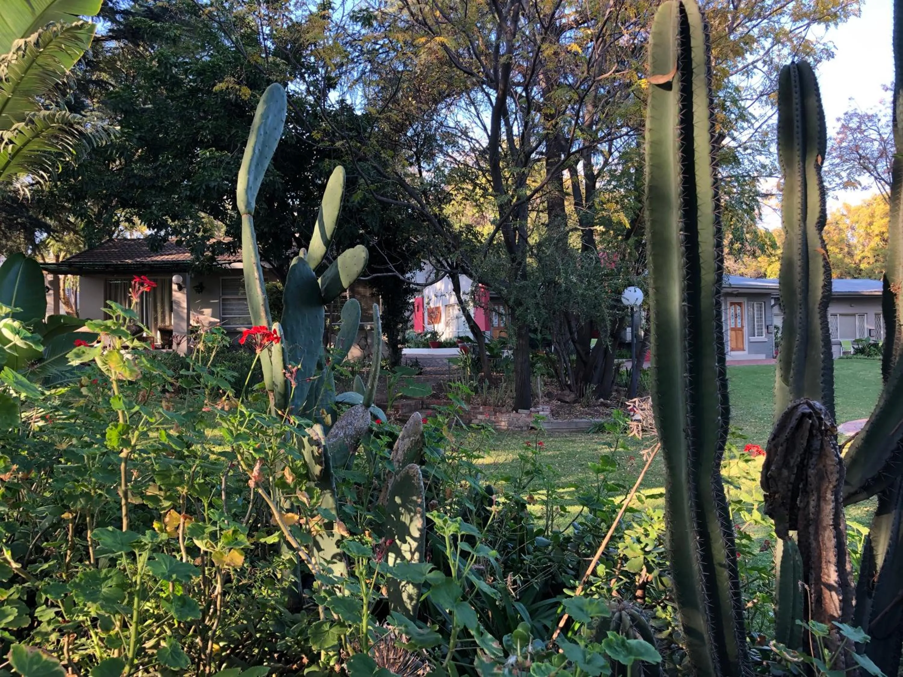 Garden view in The Haystack On Homestead