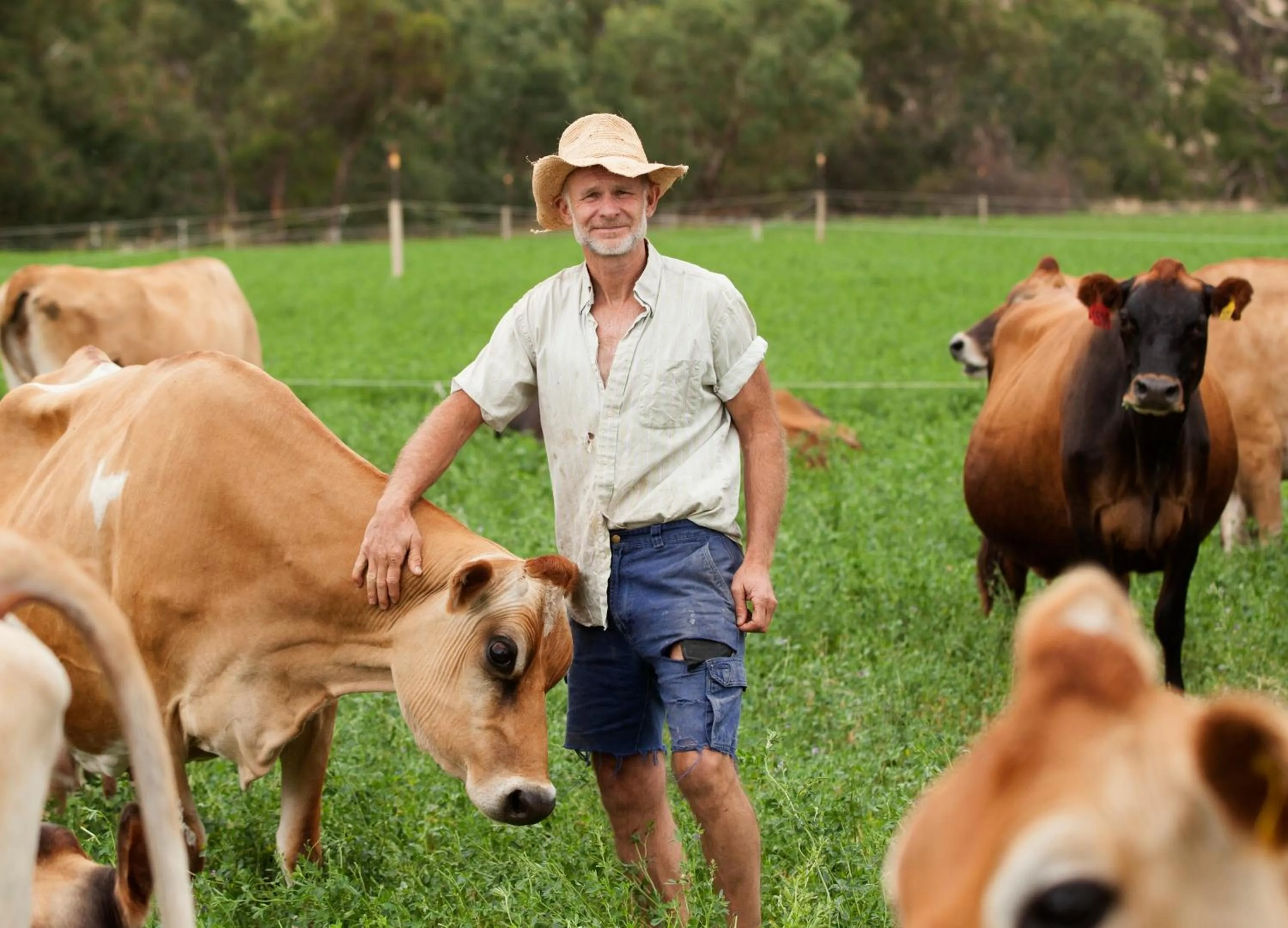 Property building in Dairyman's Cottage