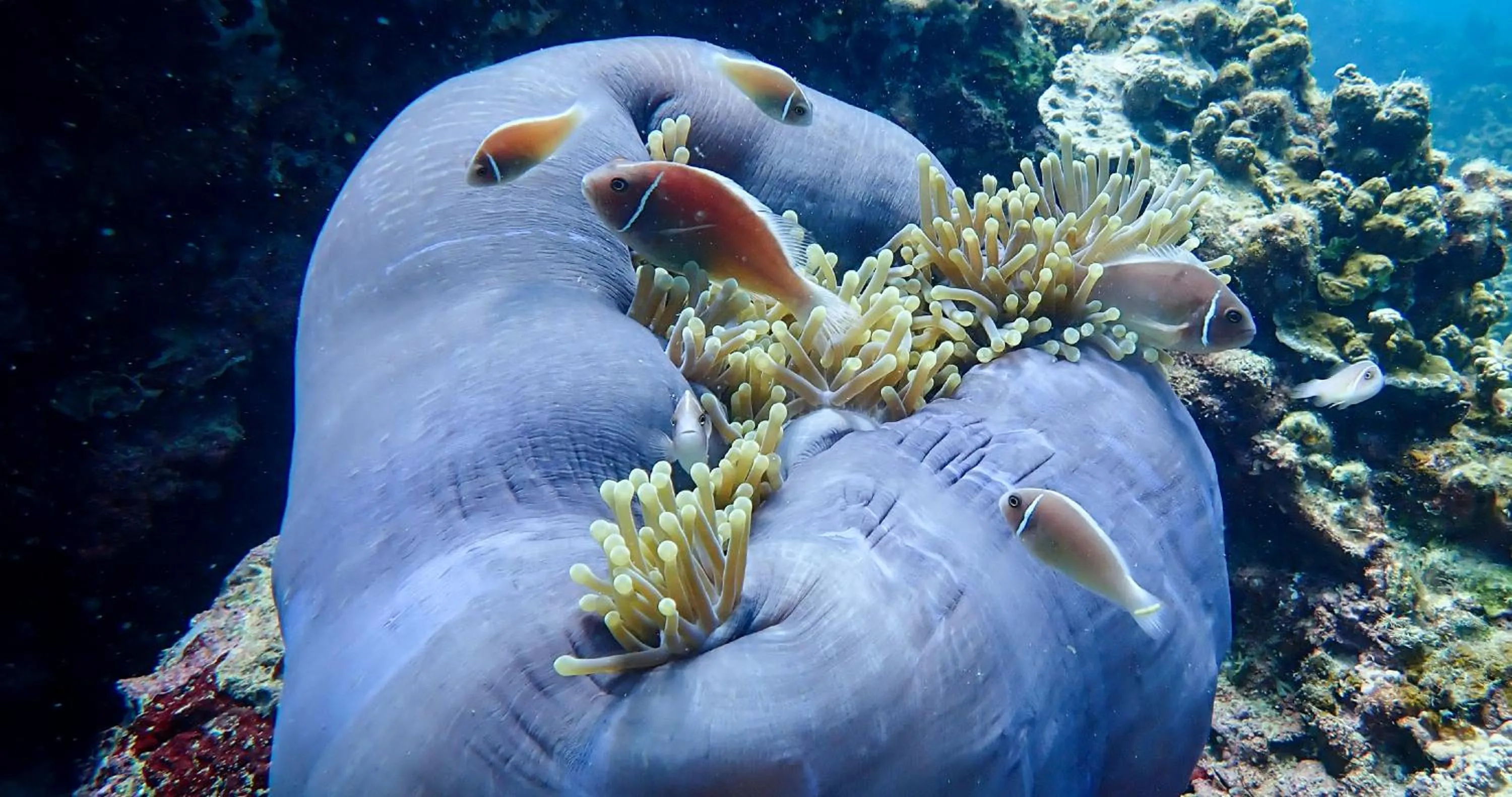 Activities in The Tarna Resort, Koh Tao