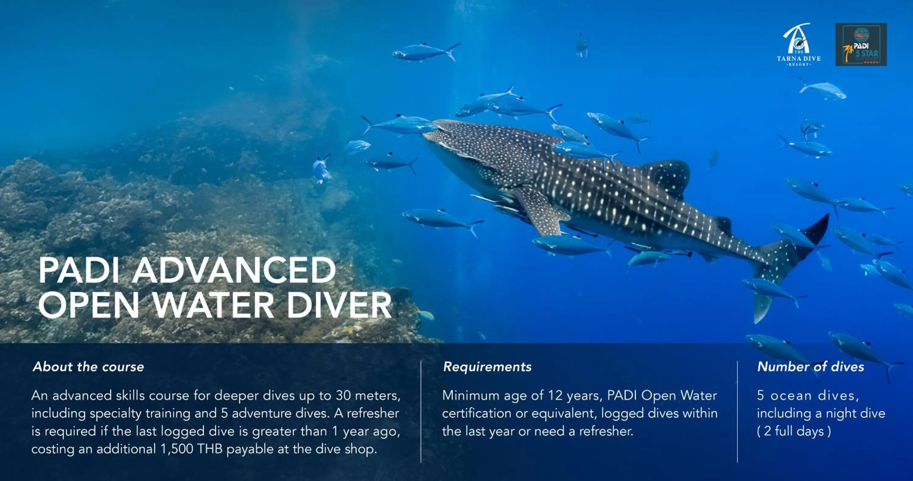 Activities in The Tarna Resort, Koh Tao