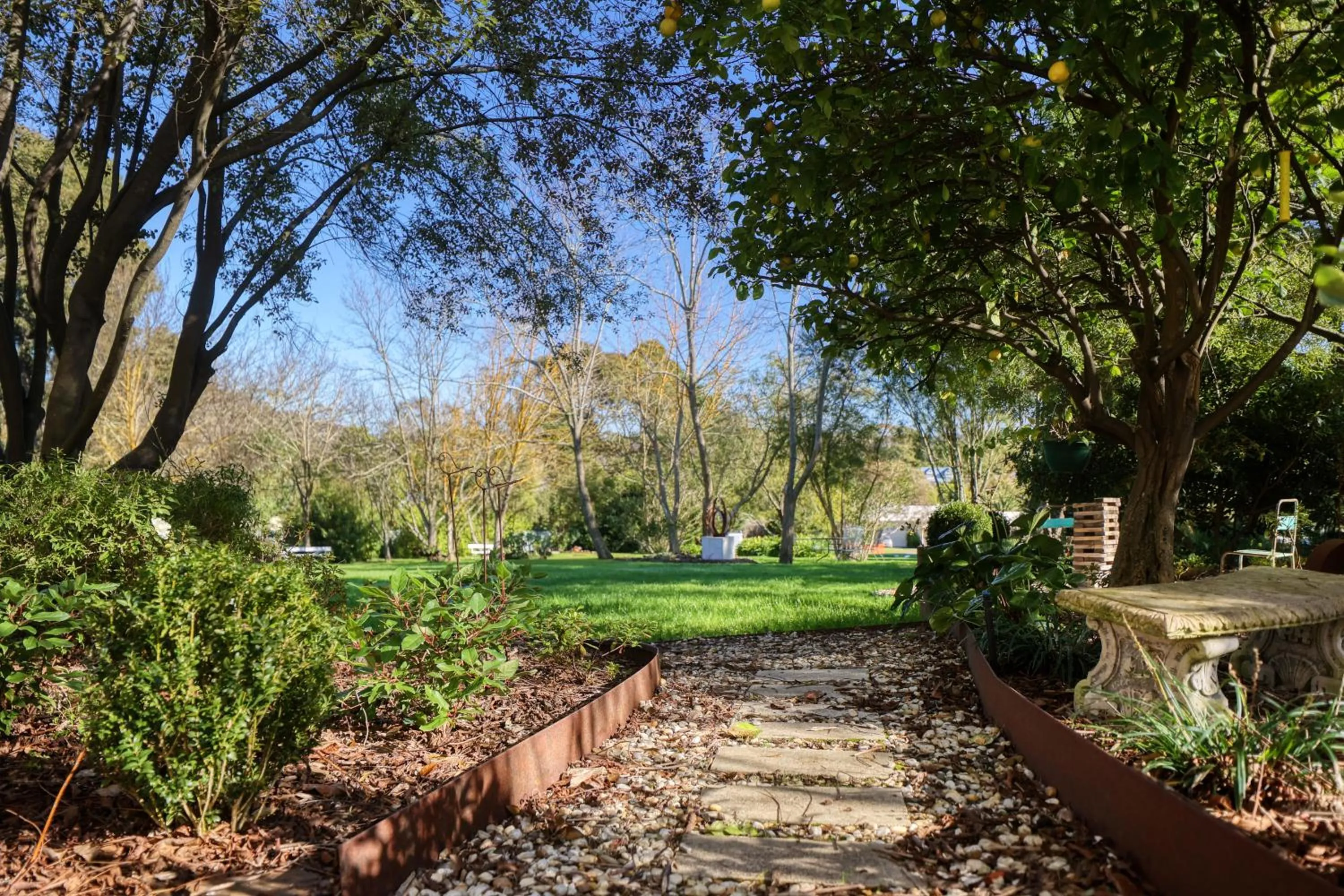 Garden in Yarra Gables