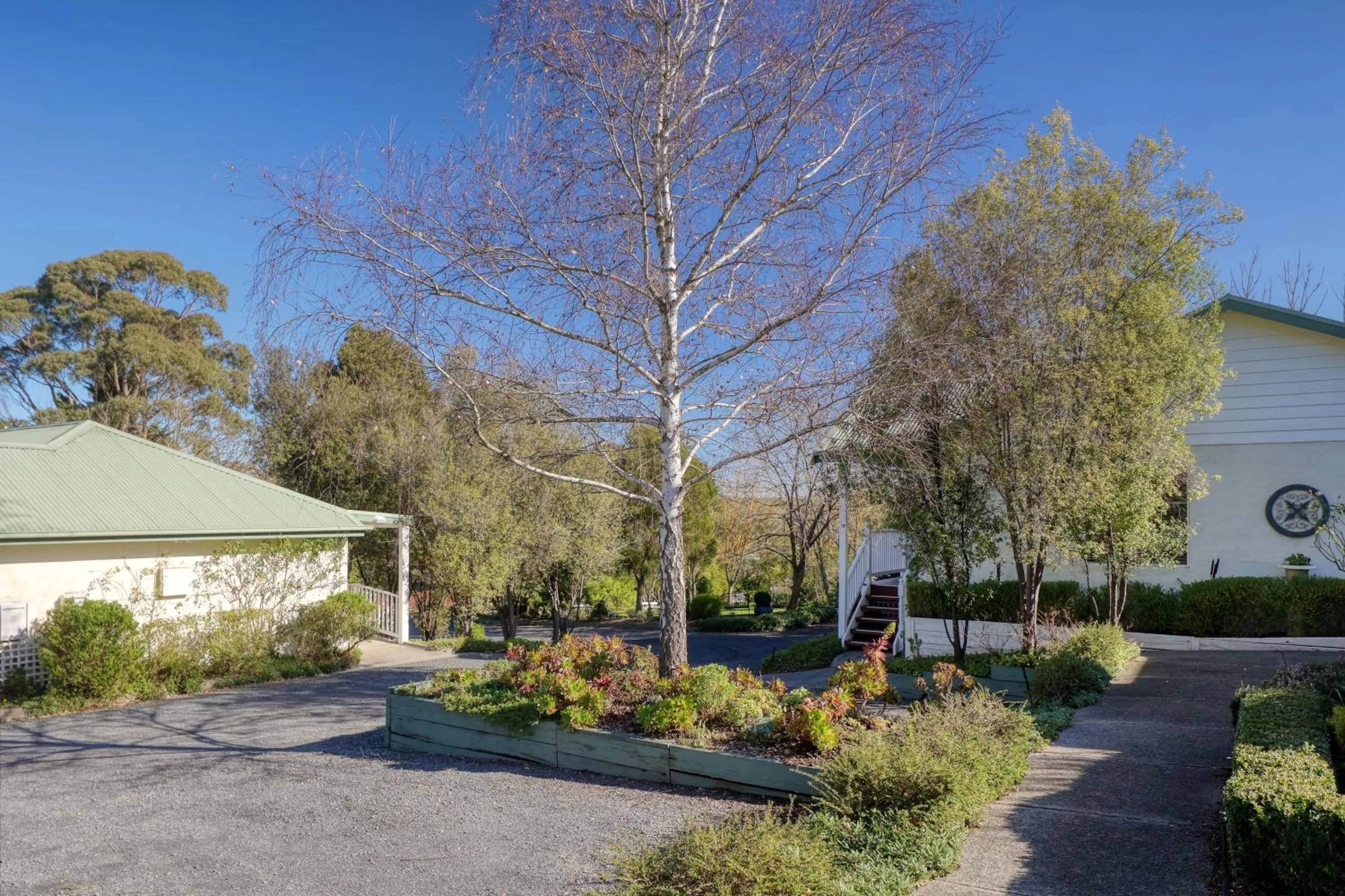 Garden view in Yarra Gables