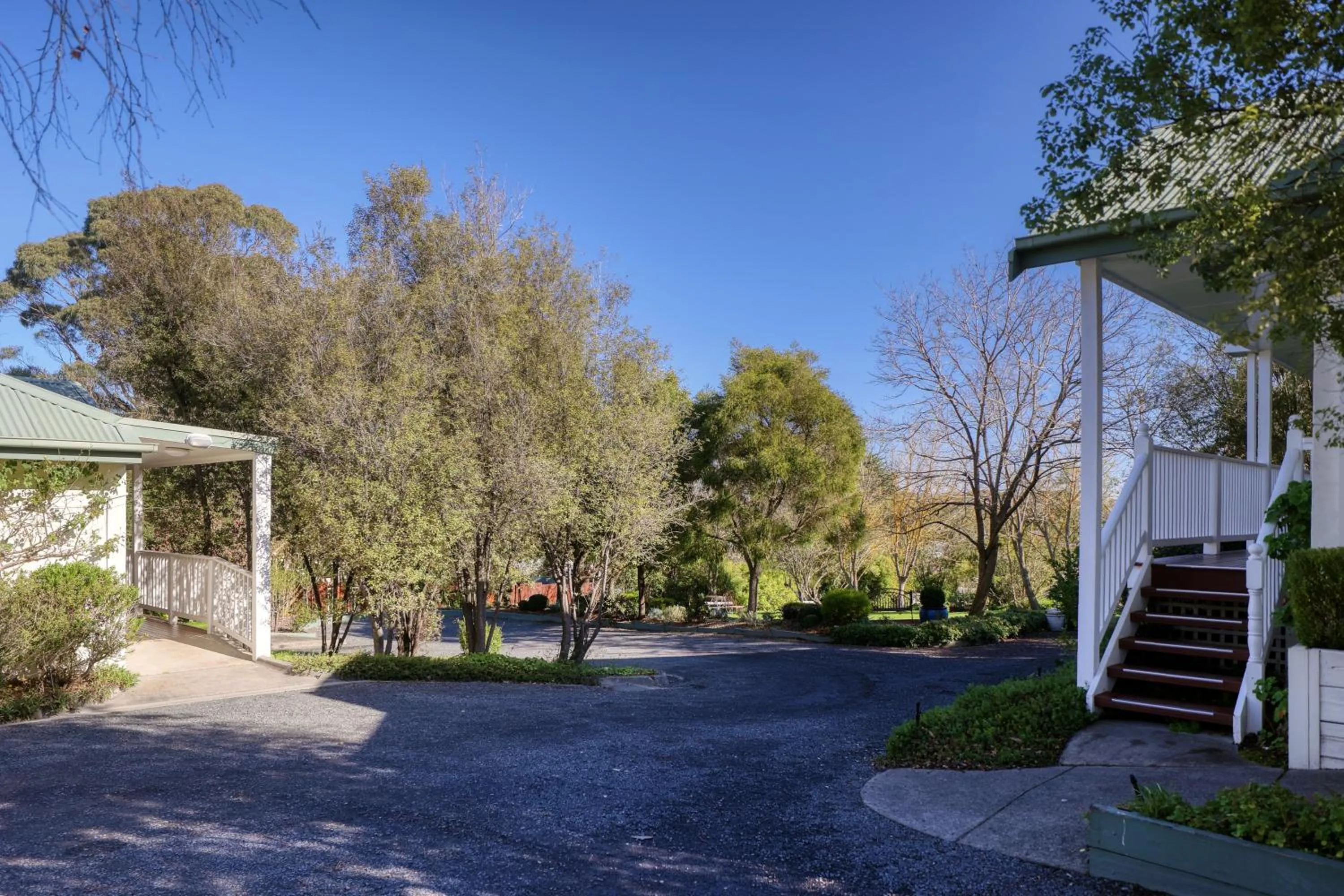 Garden in Yarra Gables
