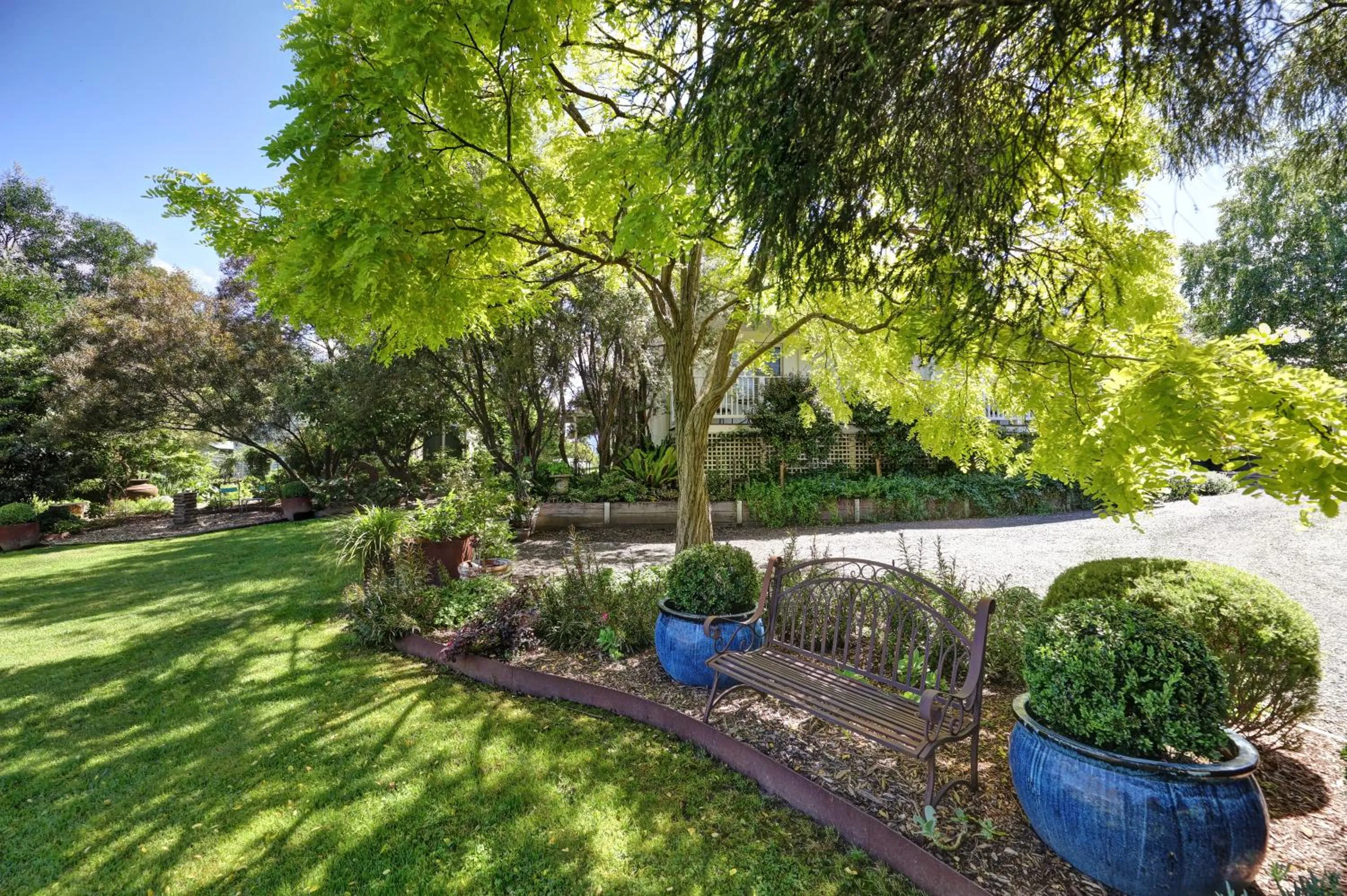 Garden in Yarra Gables