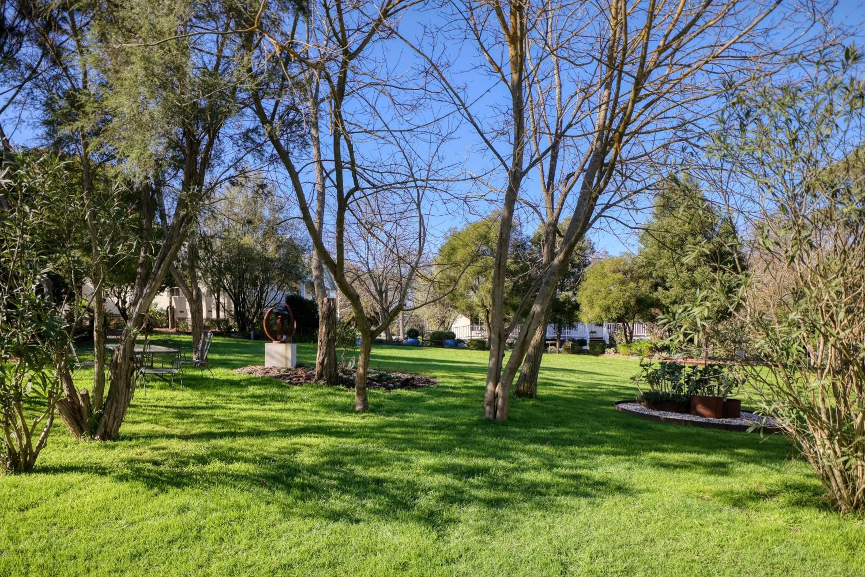 Garden view in Yarra Gables