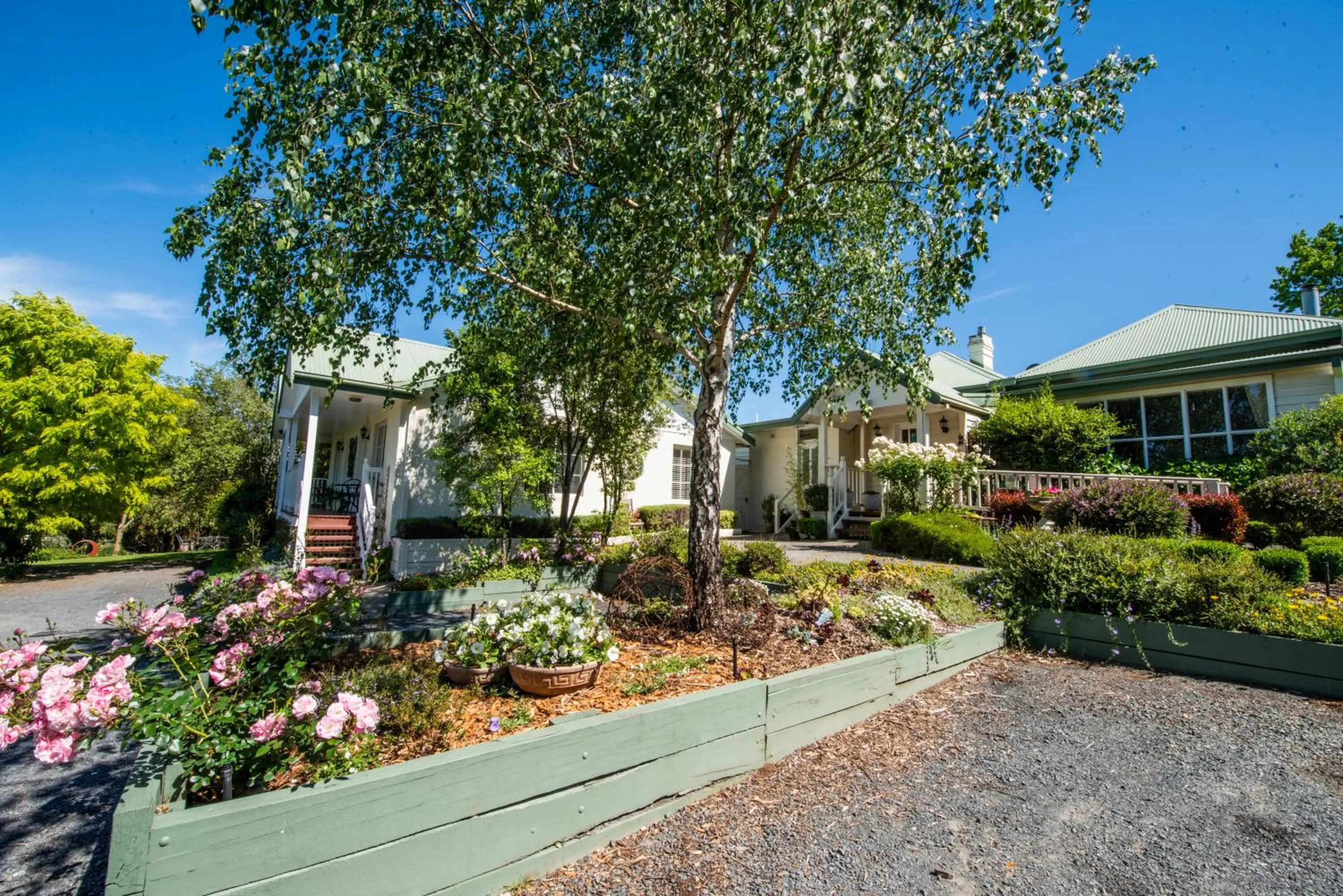 Garden view in Yarra Gables
