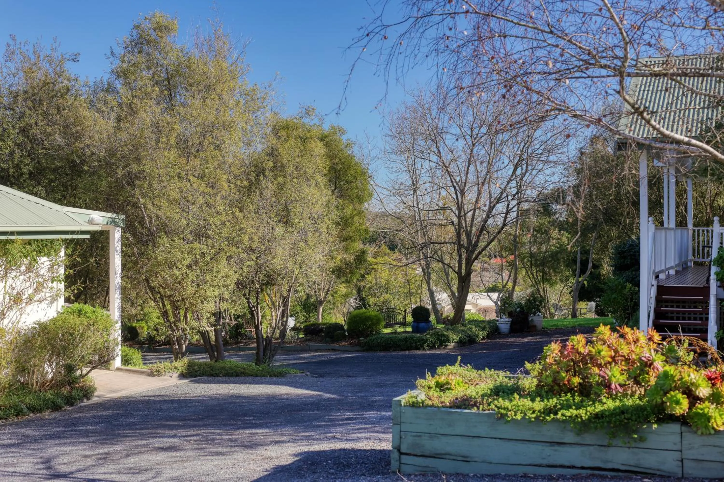 Garden view in Yarra Gables