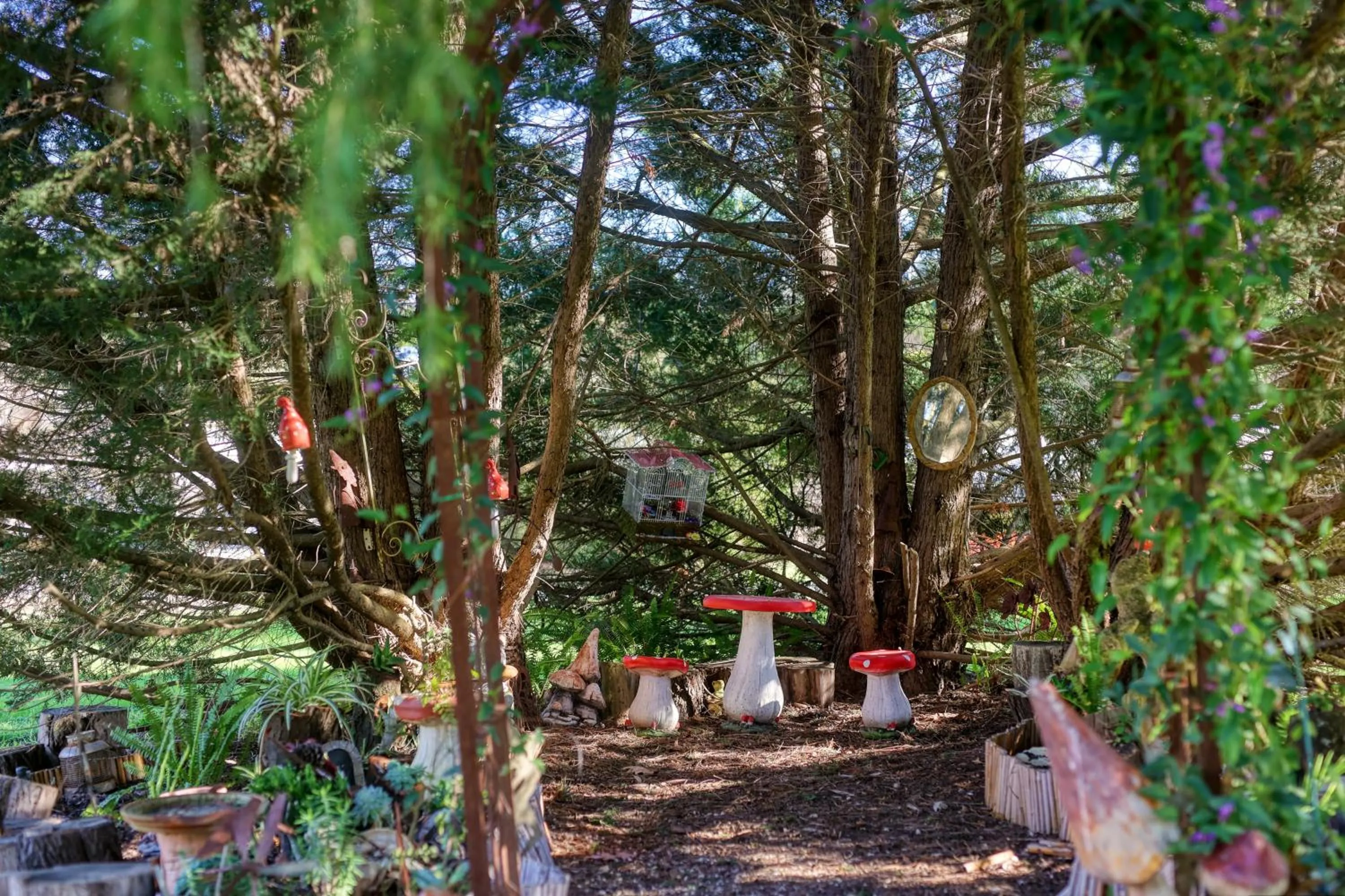 Garden in Yarra Gables