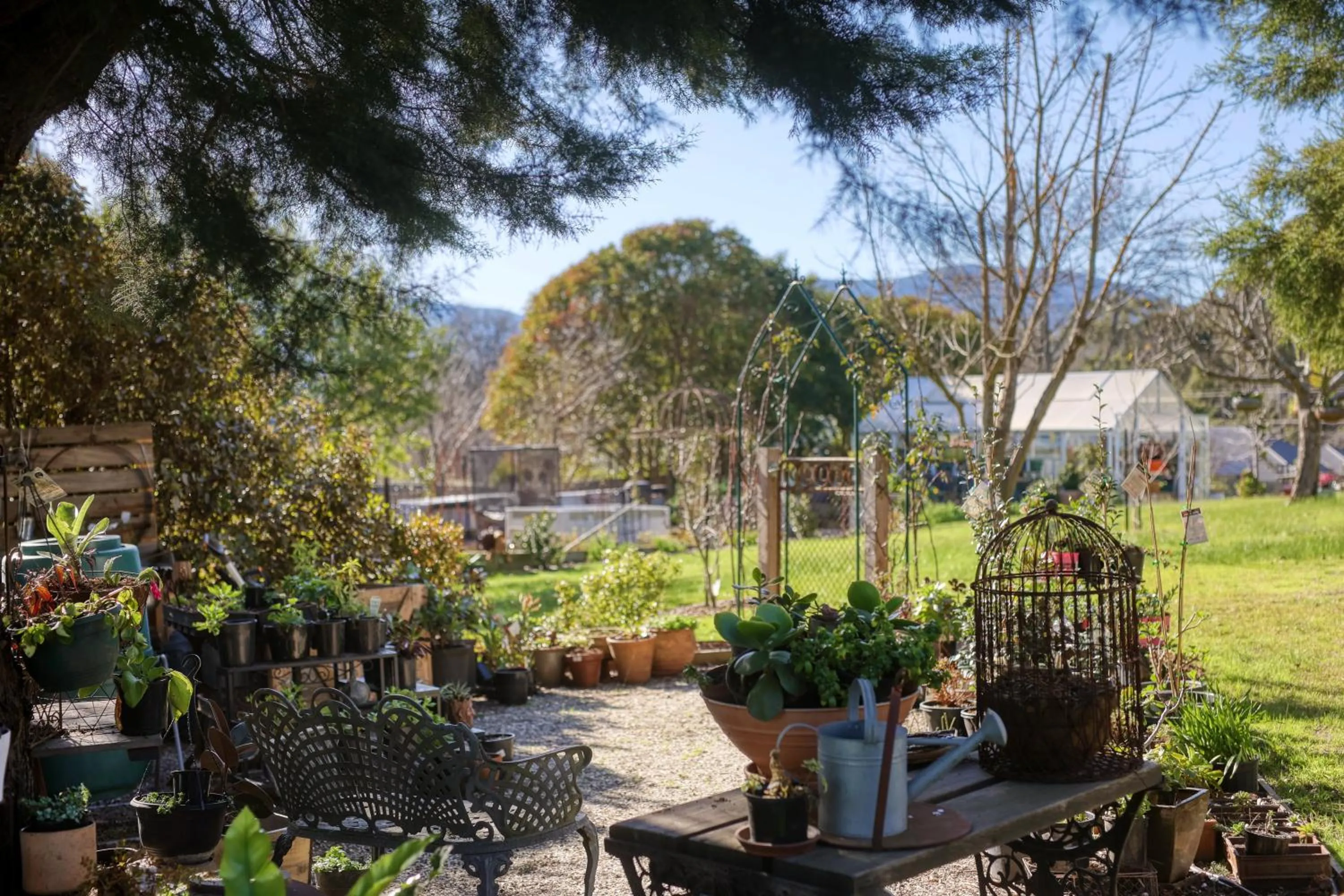 Garden in Yarra Gables