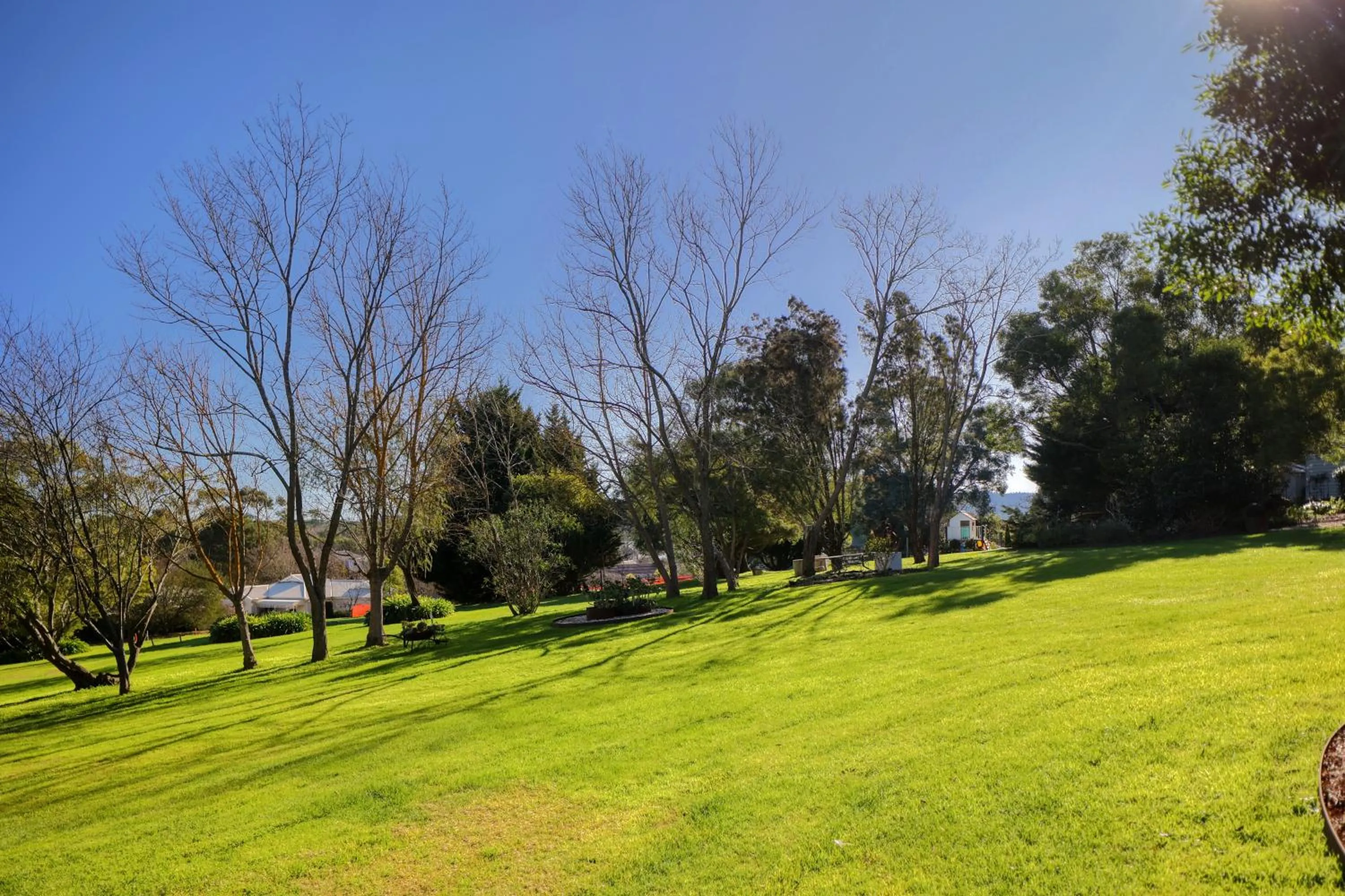 Garden view in Yarra Gables