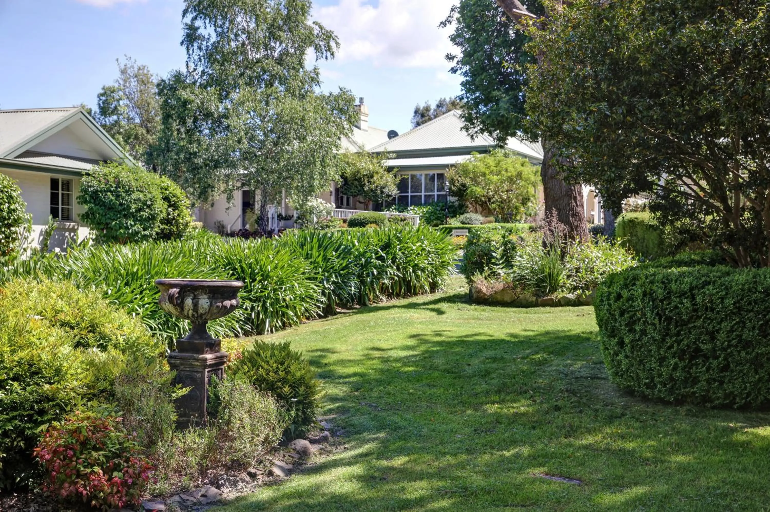 Garden in Yarra Gables