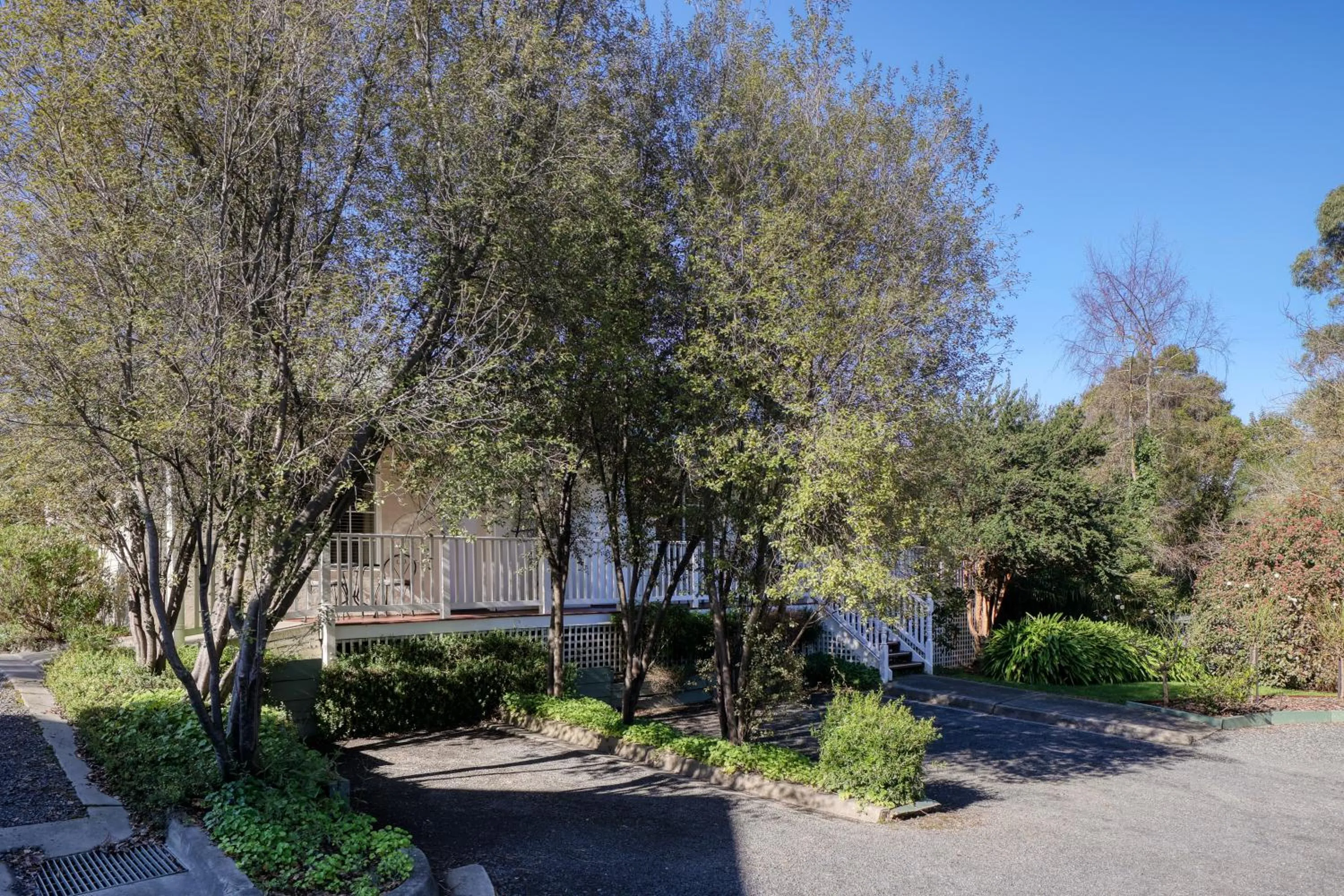 Garden in Yarra Gables