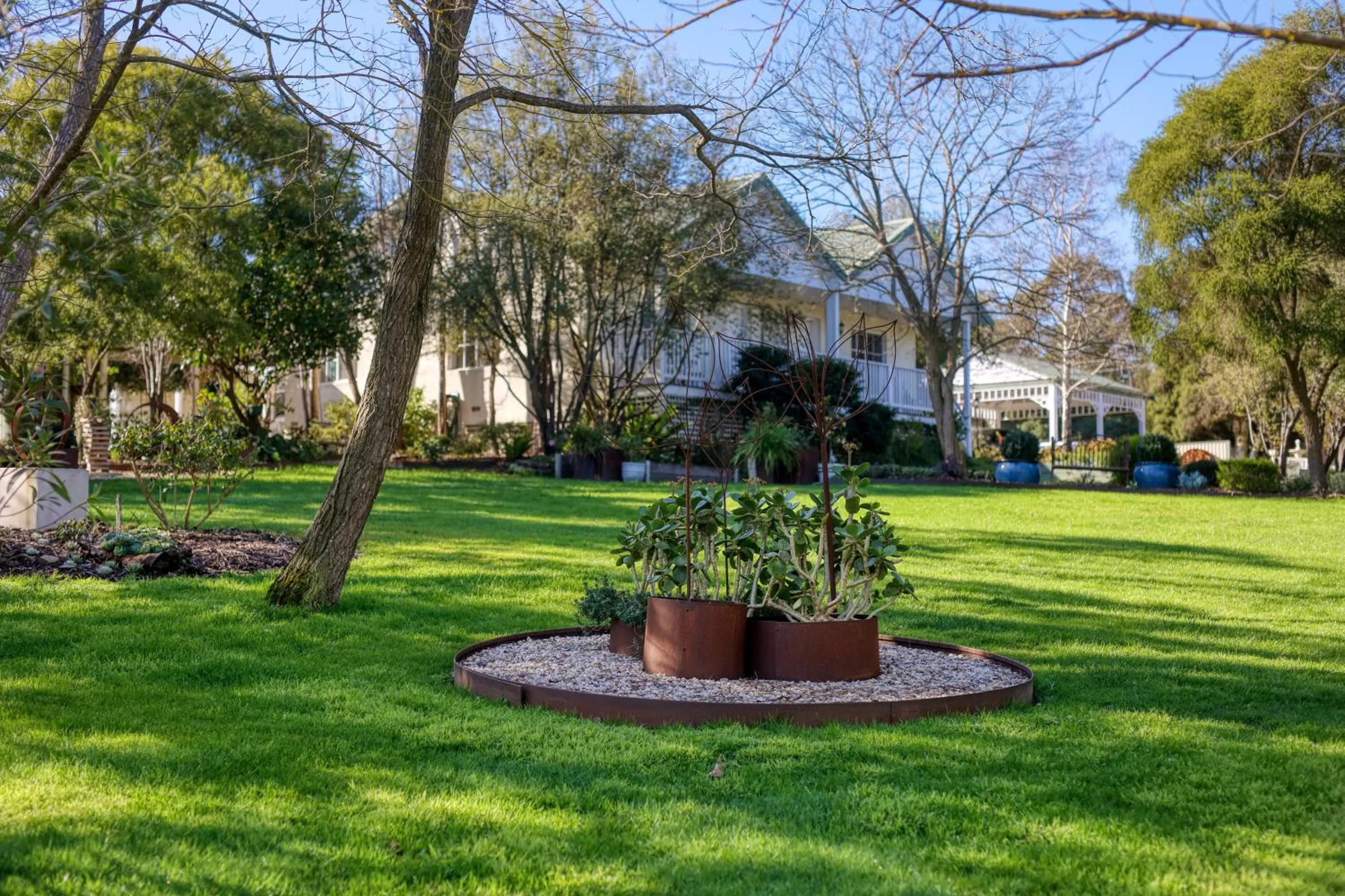 Garden in Yarra Gables